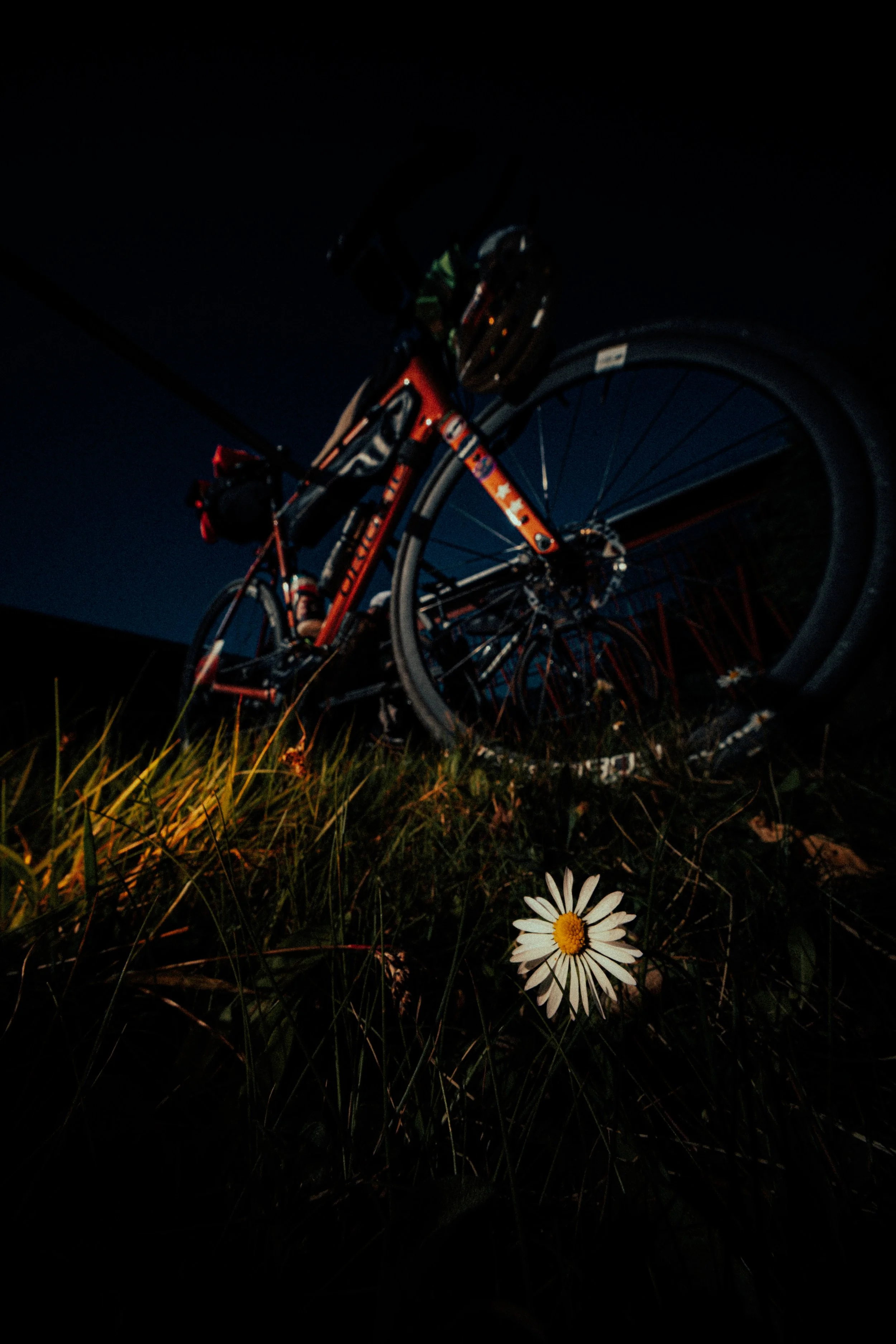 RACE ACROSS PARIS 2026 - ©robinissartel-4.jpg