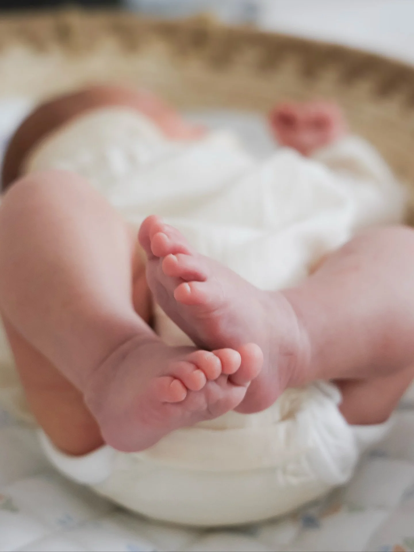 Details of Rupert ✨