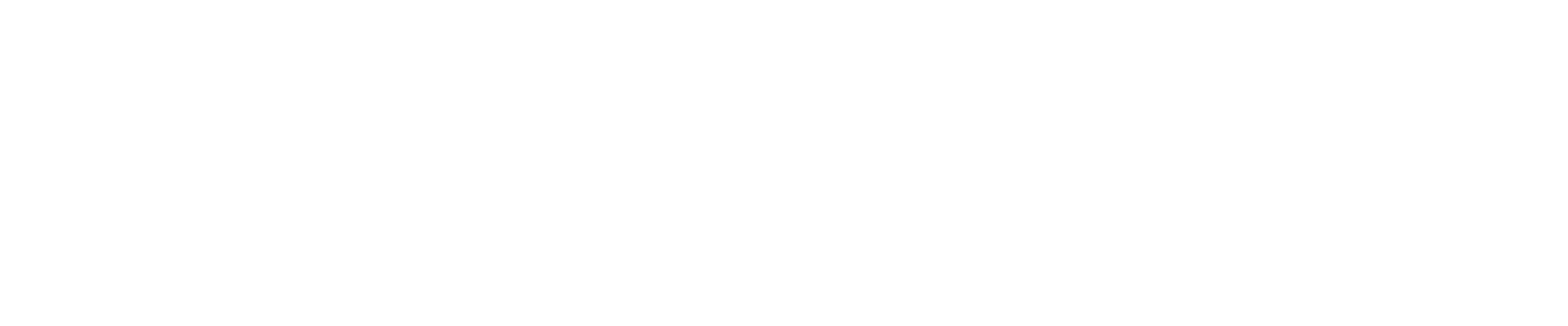 Horizontal HOLLYLAND LOGO-White.png