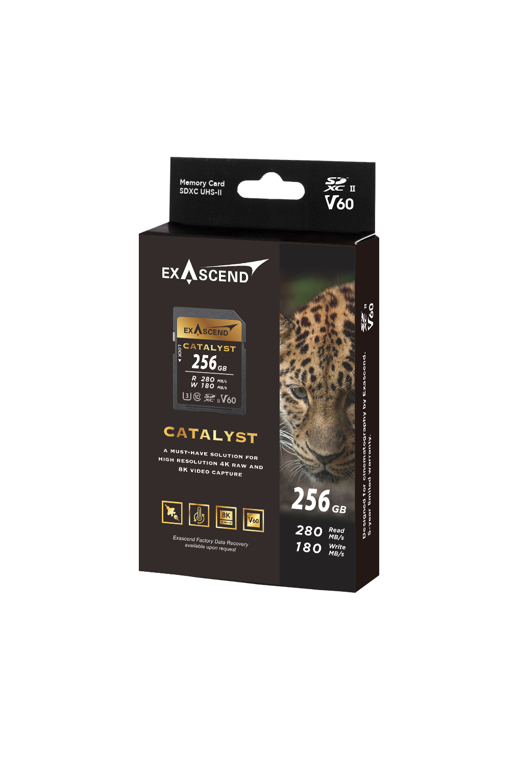 Catalyst V60 SD Card 256GB-1.png