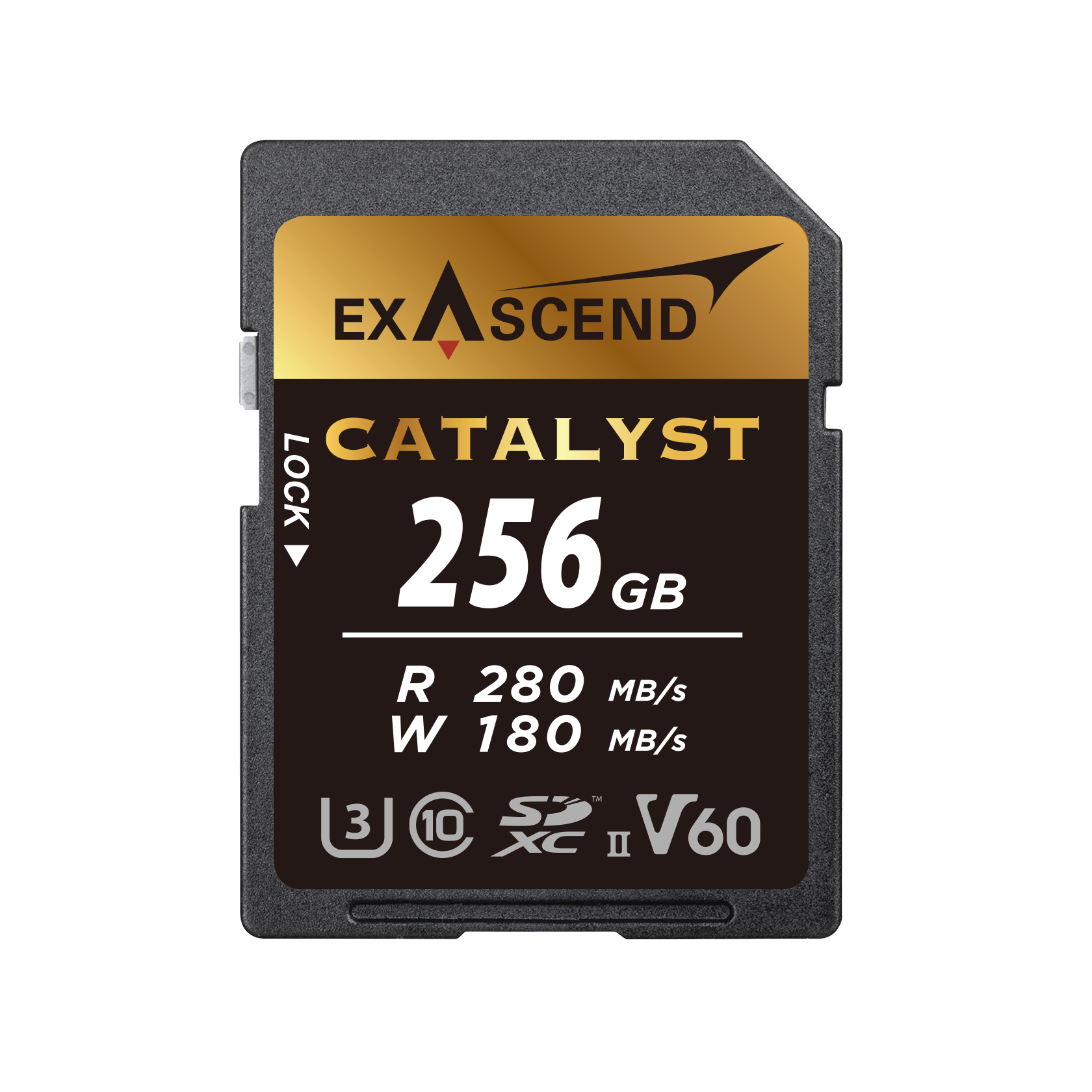 Catalyst V60 SD Card 256GB.png