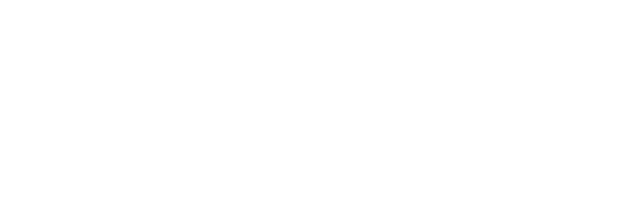 company logo white.png