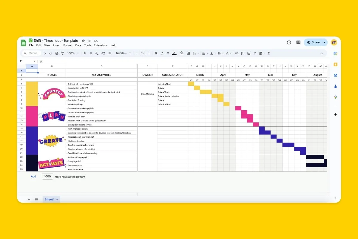 Campaign Timeline (Template)