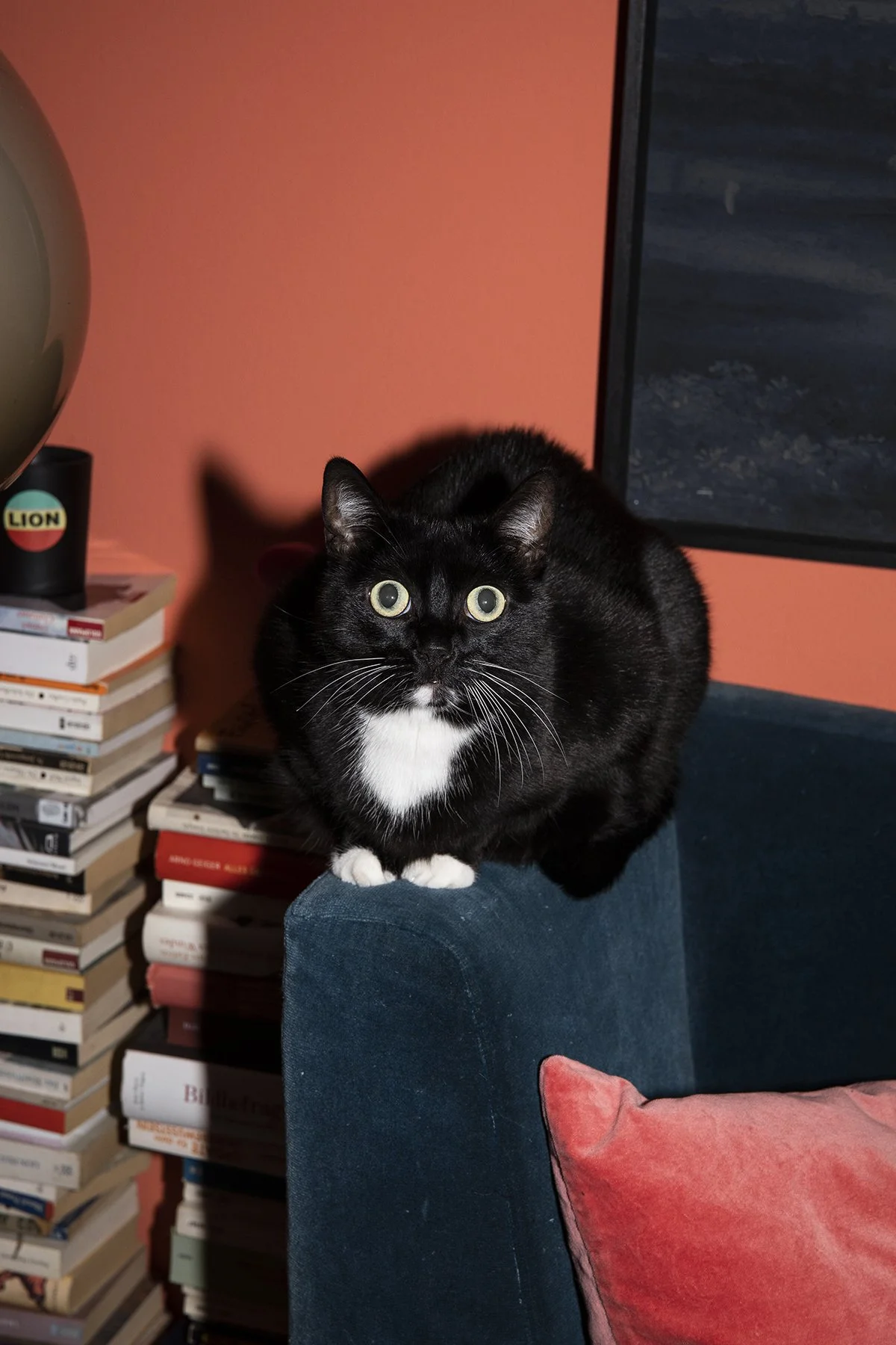 Still Life-Fotograf-Editorial-Fotograf-Hamburg-Jule-Breiert-J.jpg