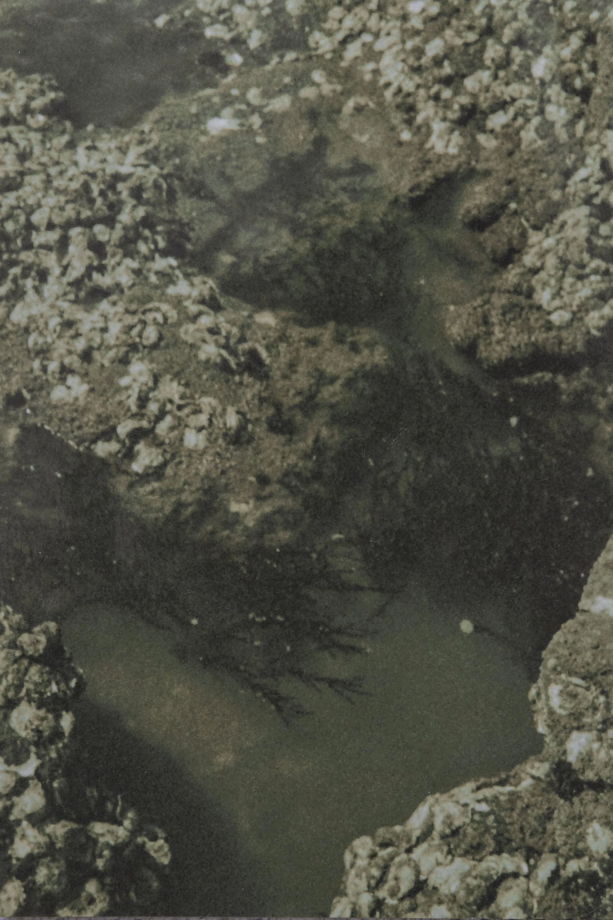 Editorial-Jule Breiert-Fotograf Hamburg-200-1.jpg