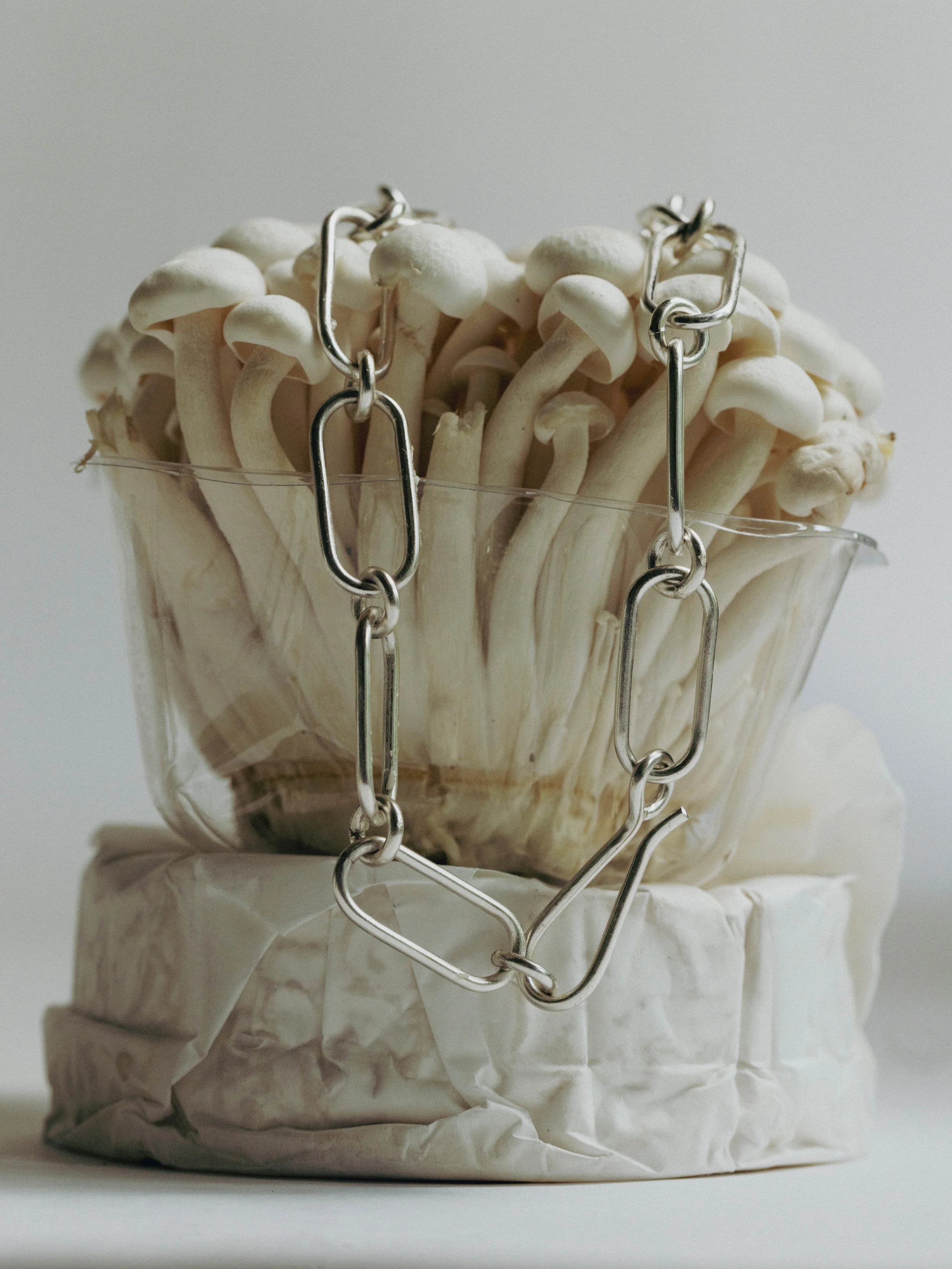 Still Life Jewelry-Alke Missalla-Wolfram Neugebauer-Jule Breiert-28.jpg