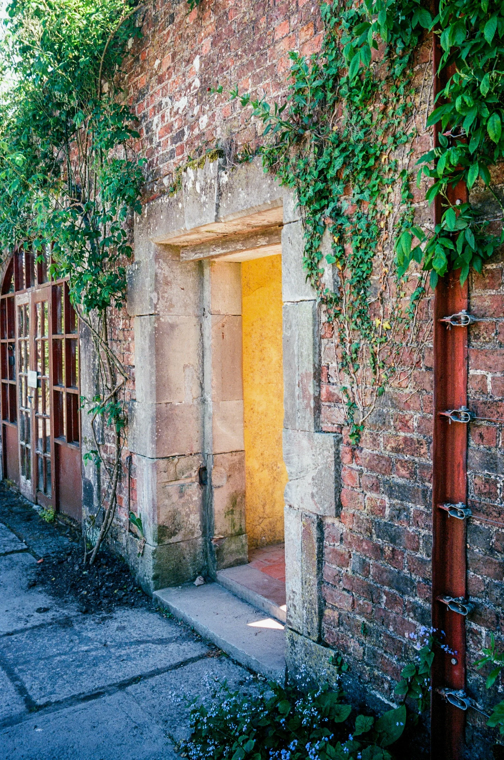 An old brick wall with climbing green ivy and a doorway with stone framing, leading to a yellow interior wall.