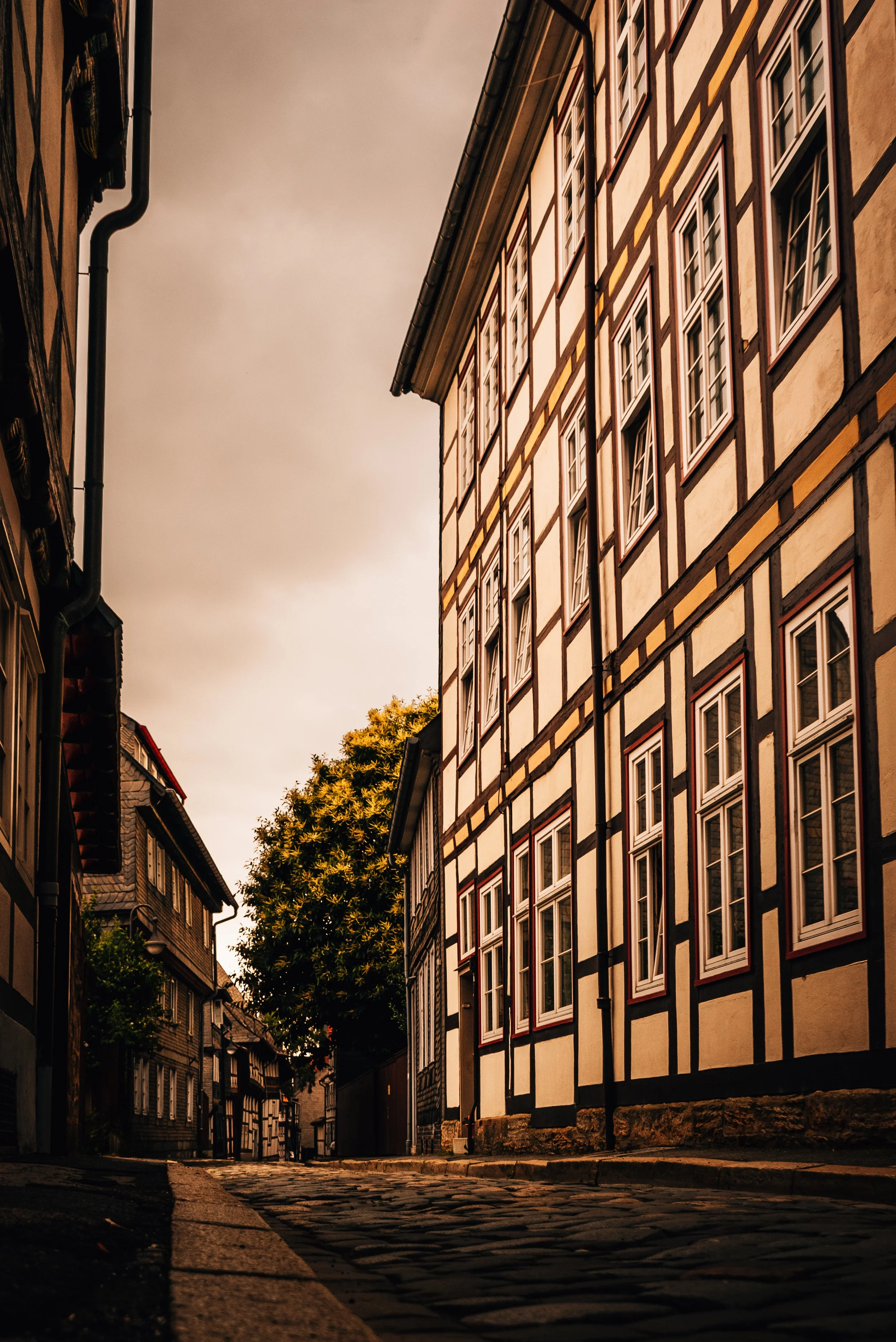 A narrow cobblestone street lined with historic half-timbered buildings, with a large tree in the background during late afternoon or early evening.