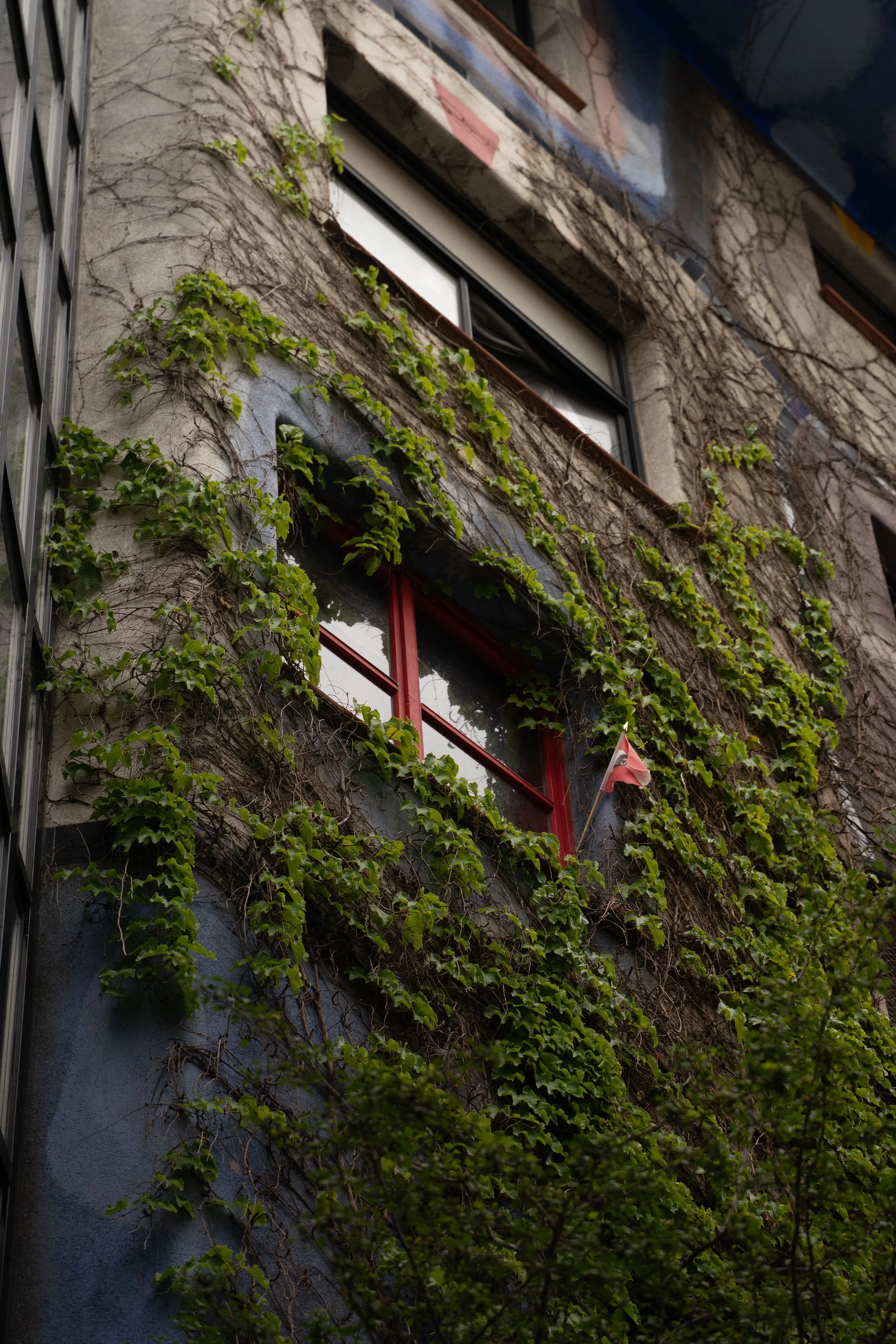 A building with ivy-covered walls, blaze orange window frames, and a small flag near the window.