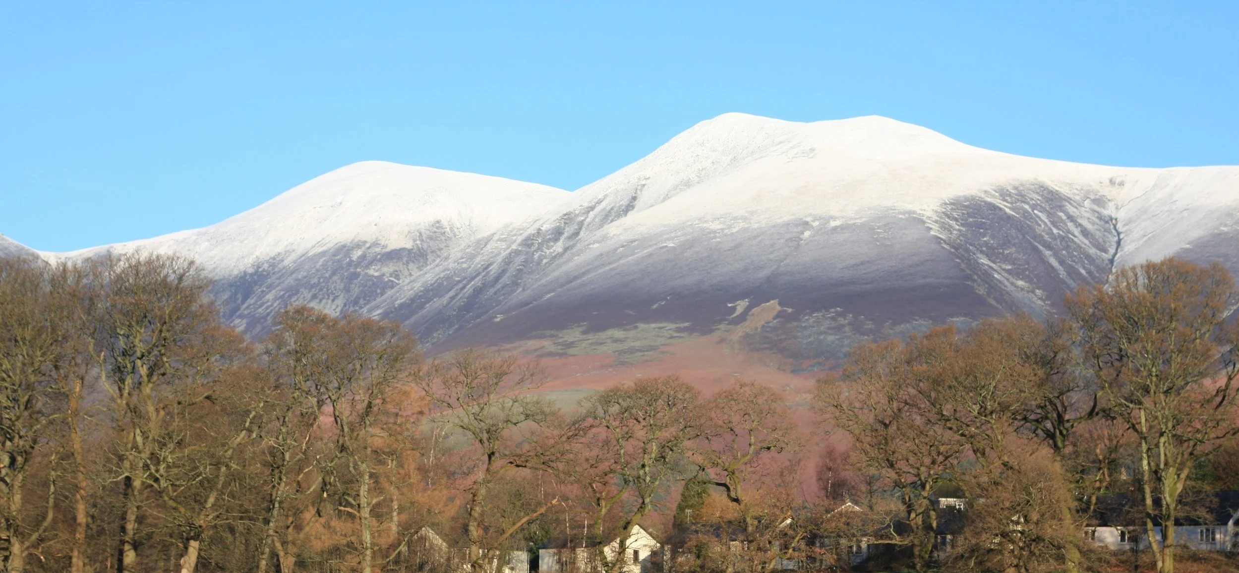 Snow-capped mountains in the background with leafless trees and houses in the foreground under a clear blue sky.