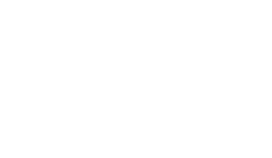 Logo - Client Feature - Business Insider - white.png