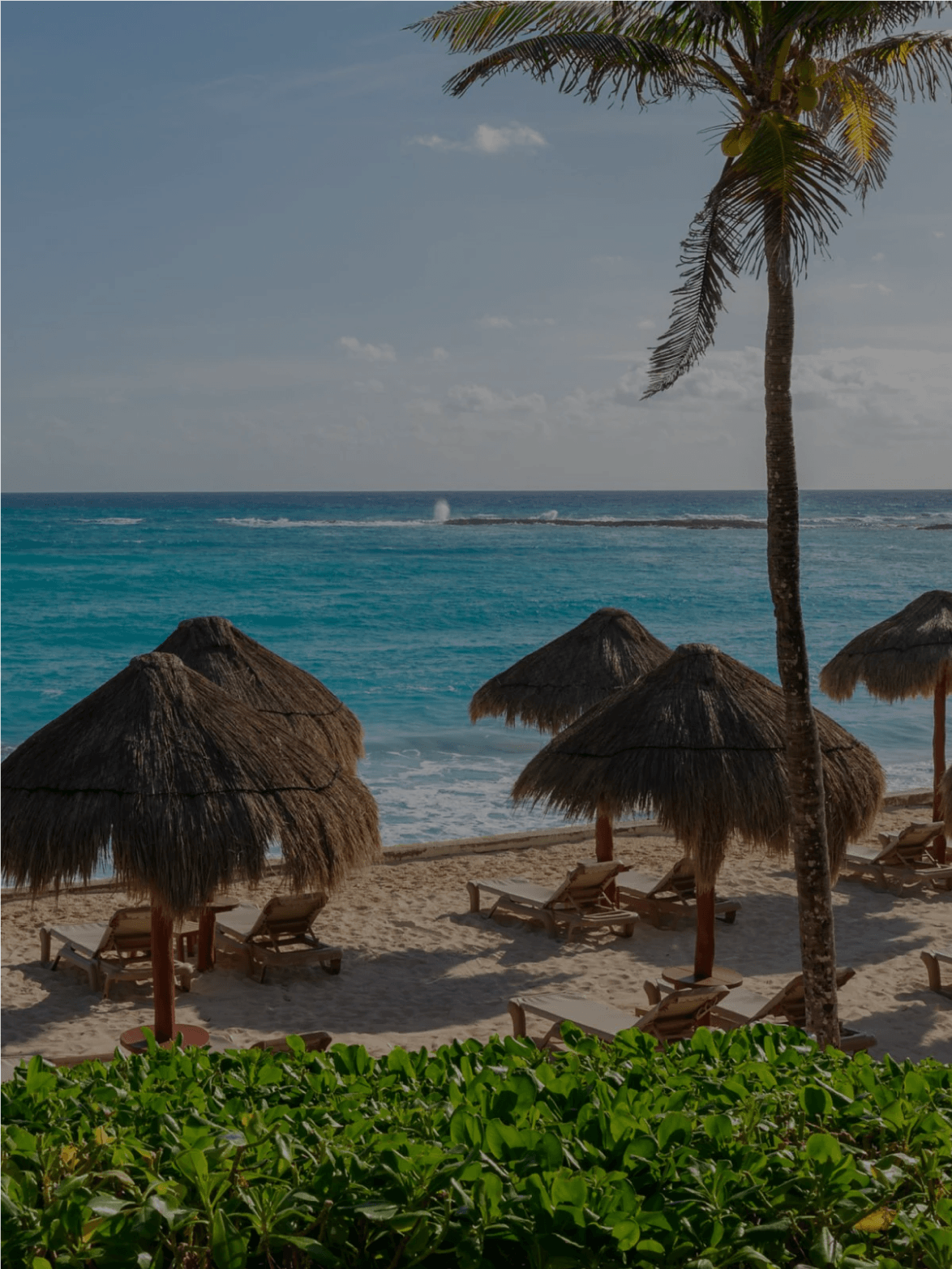 A tropical beach scene with thatched umbrellas and lounge chairs on the sandy shore, a tall palm tree, and the ocean with waves under a partly cloudy sky.
