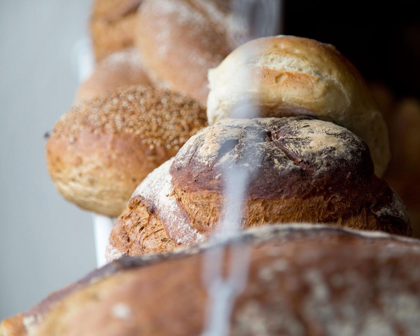 Rise and shine, bread lovers! 🌞🍞 It&rsquo;s Homemade Bread Day, and Bakery On The Hill is your go-to destination for freshly baked delights. Join us in celebrating the goodness of homemade bread today!🥖❤️

#homemadebreadday #breadlovers #breadlove