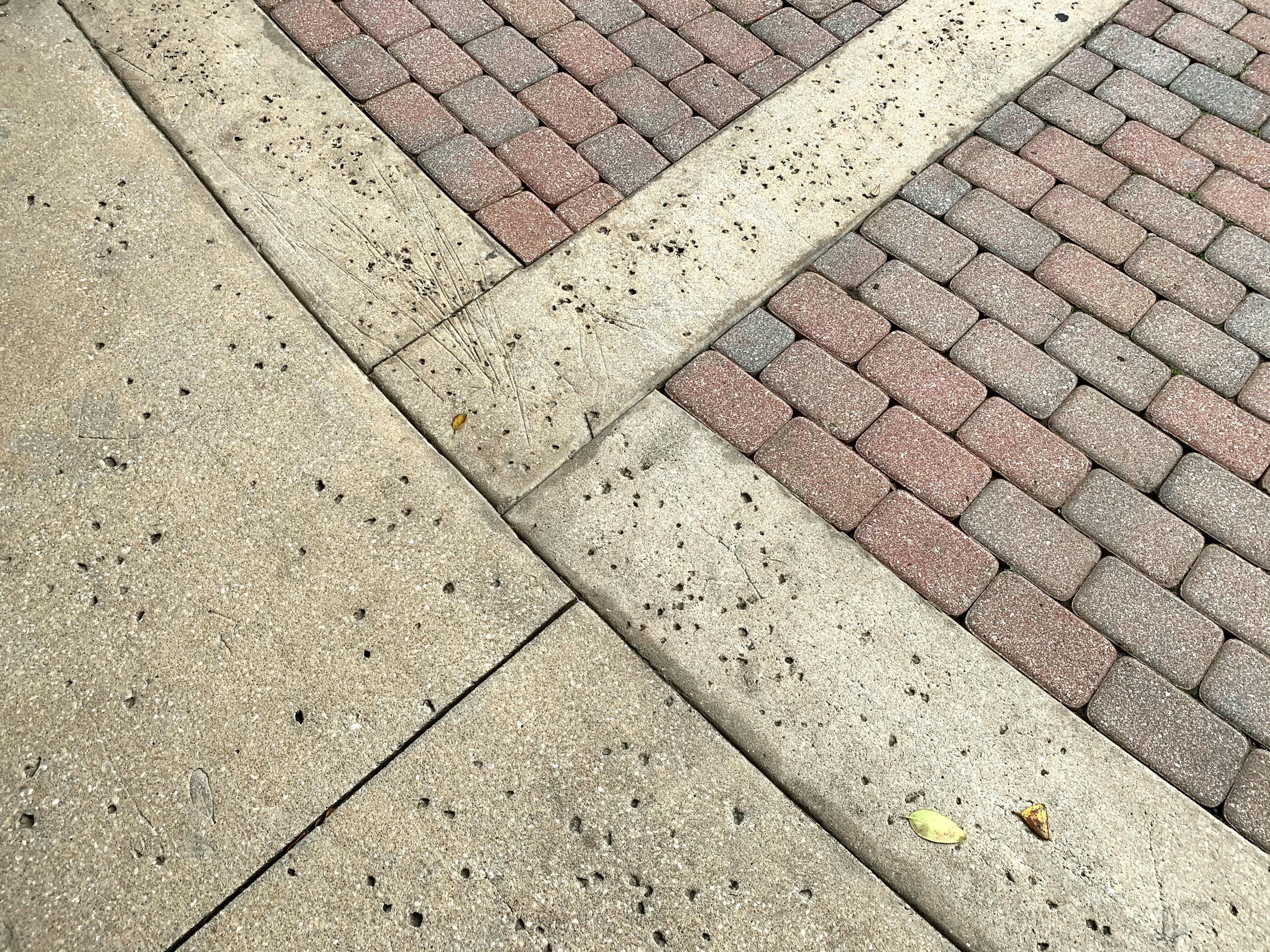 Close-up of sidewalk and street curb, showing concrete and brick pavement with scattered small leaves and dirt.