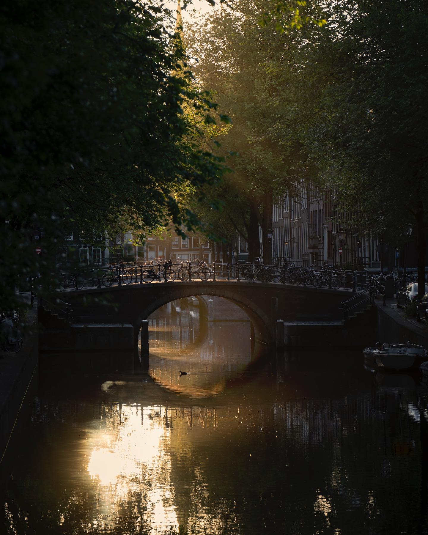 Releasing May 1st, 11.00 CET: a limited edition print of two of my favorite spring/summer photos of Amsterdam. For me personally, they really communicate that feeling of leaving behind the gray period of winter and entering a time of light and bloom.