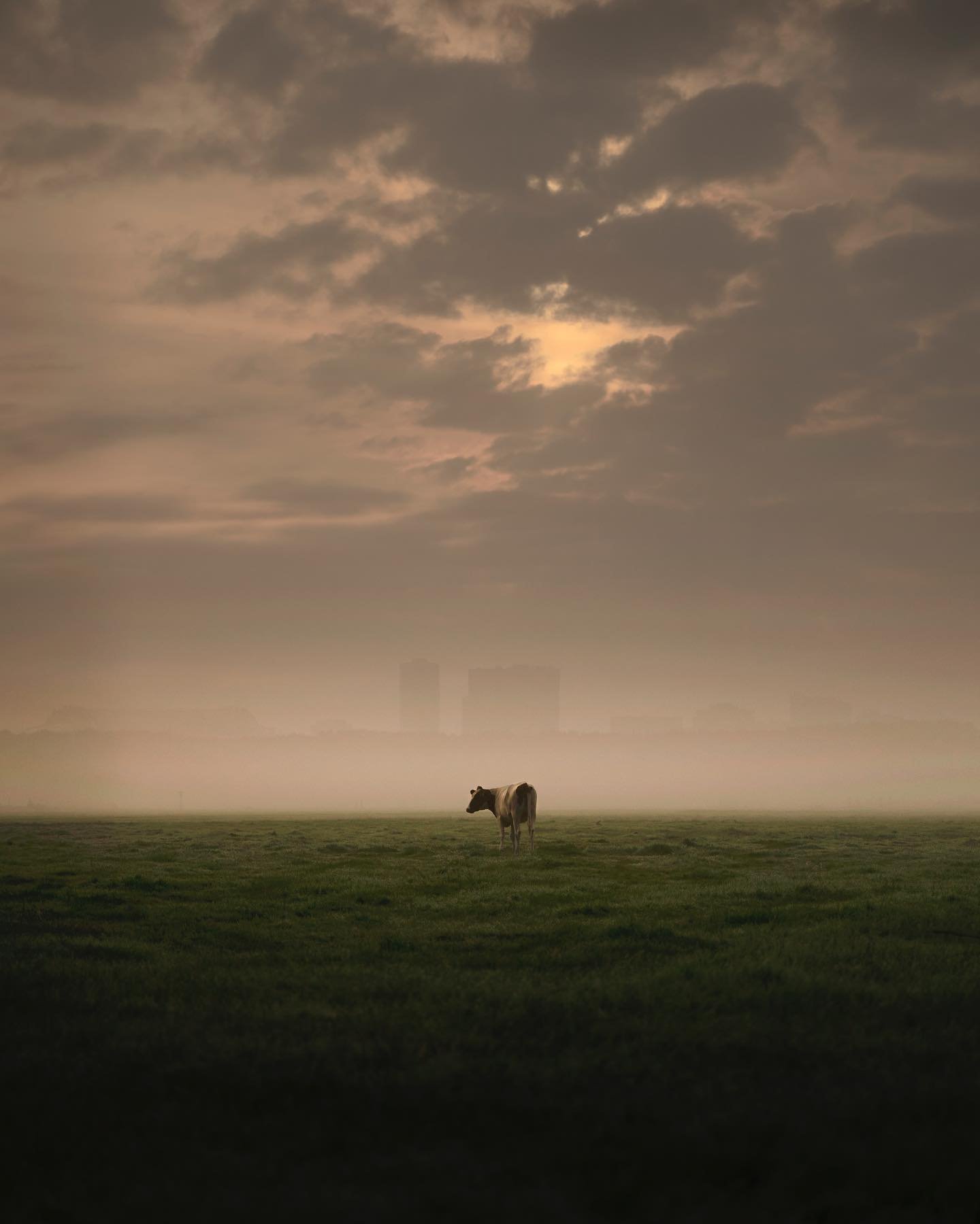 Moments of solitude on the Dutch countryside.

#gossebouma #amsterdam #iamsterdam #mijnmokum #bestofnetherlands #sonyalpha #sonynederland #thinkverylittle #inthestreet #filmic_streets #streetphotography #moodytoning #cinematography #n8zine #taintedma