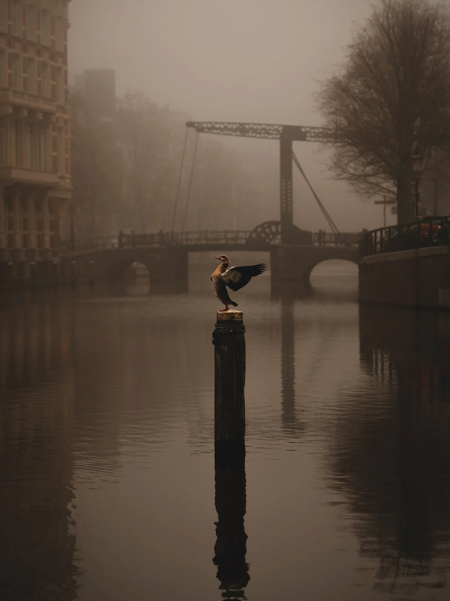 Limited edition prints of these works will be available for ONLY 48 hours, or until they sell out, starting tomorrow Sun Oct 26 at 11 AM. The AMSTERDAM 750 print sale: Five works, three sizes, in an edition of 10 prints per size. Be there, or be squa