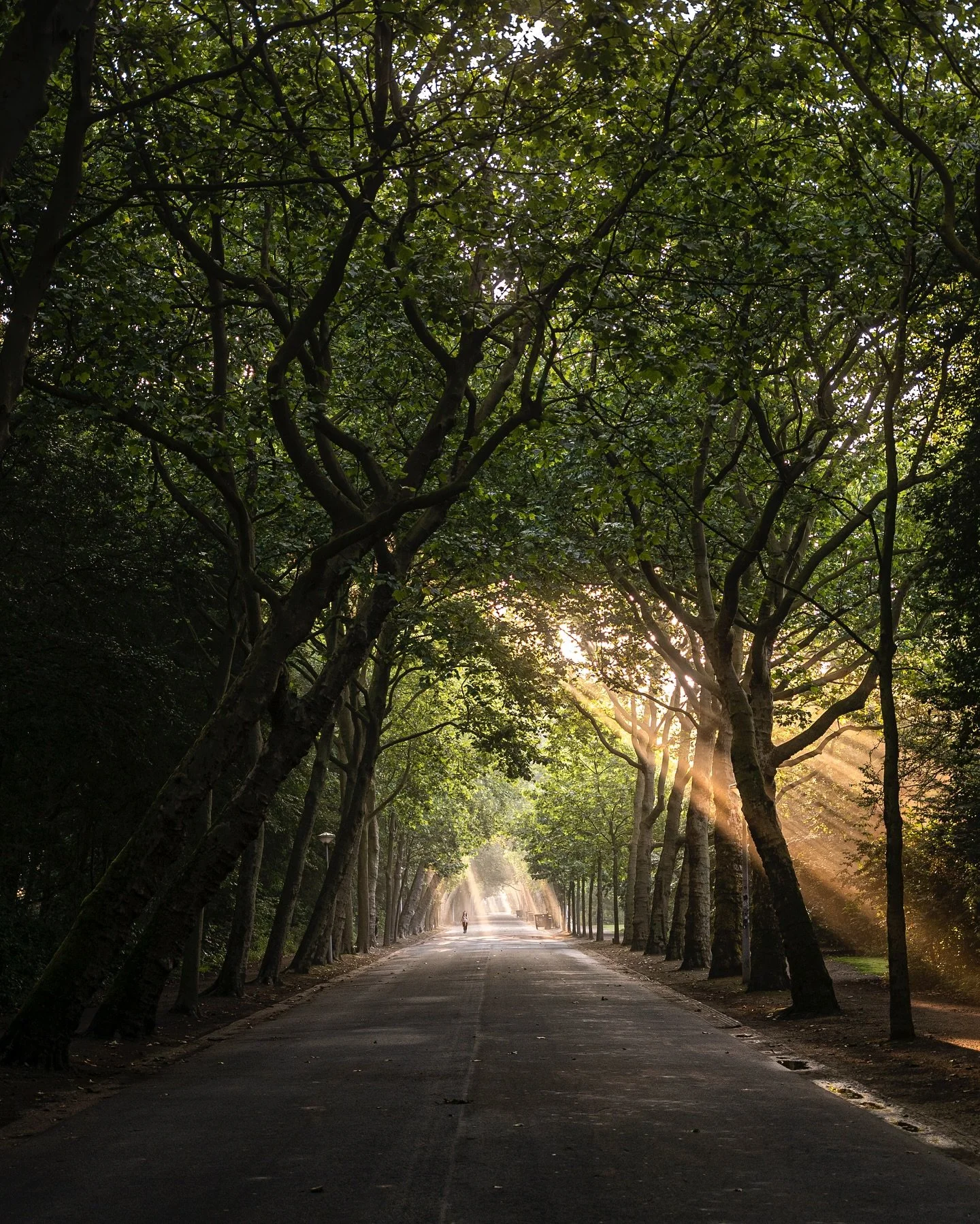 WE ARE LIVE! My favorite photos from &lsquo;A New Light on Amsterdam&rsquo; are available as limited edition prints for 48 hours. This is a unique opportunity to acquire a work from the book, in light of Amsterdam&rsquo;s 750th birthday. For yourself