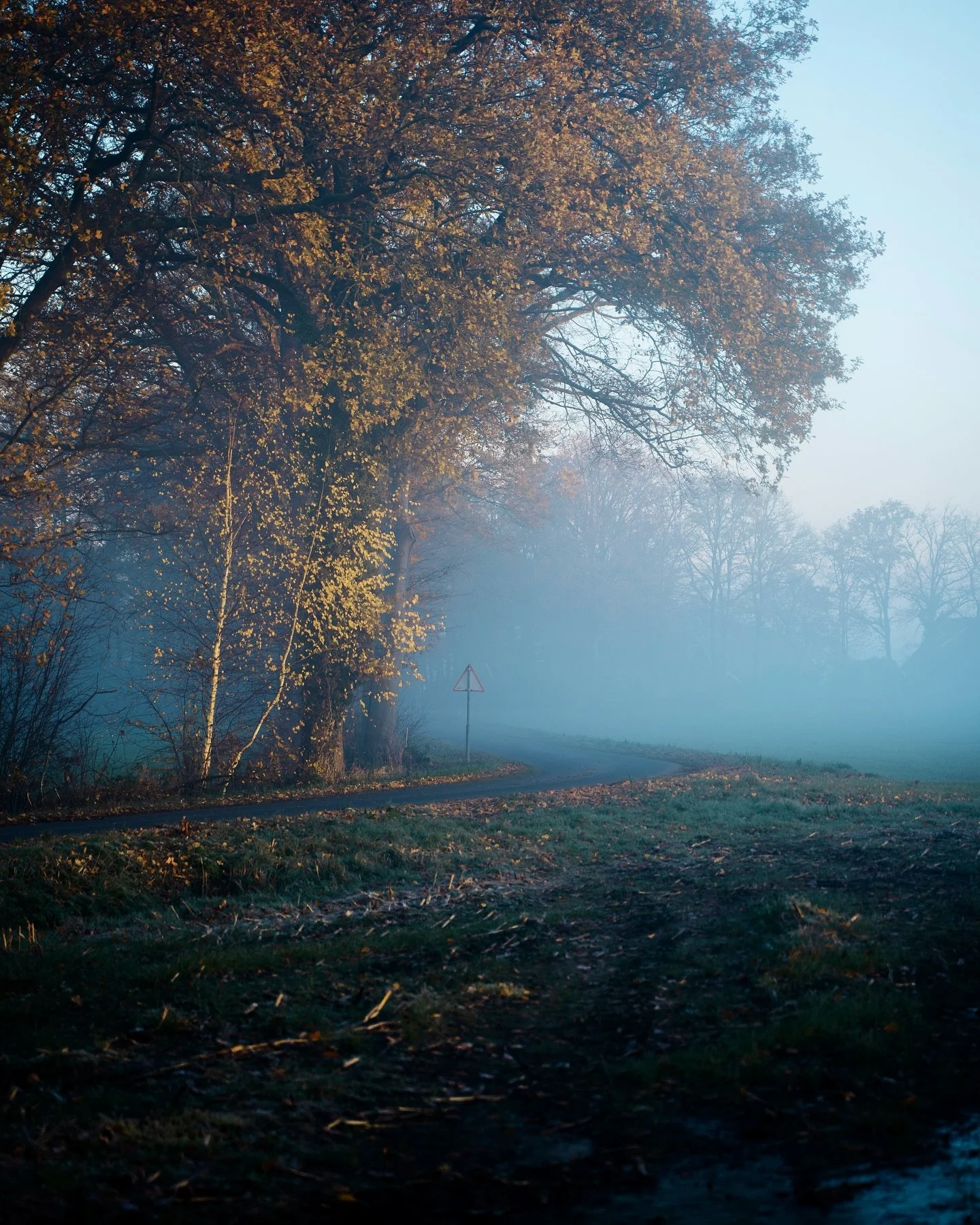 When fall turns into winter on the Dutch countryside.

#gossebouma #anewlightonthenetherlands #naturephotography #streetphotography #netherlands