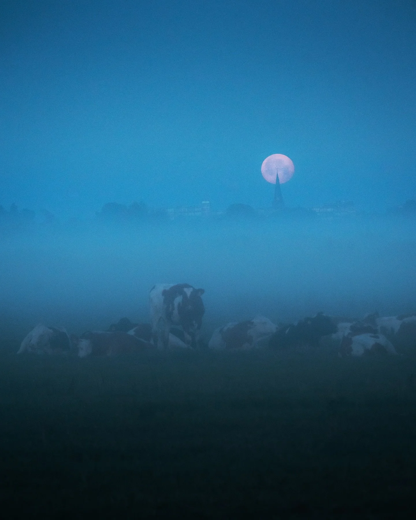 2025 favorites, part 3: July - September. After spending two intense months in Italy and signing my second book deal, focus shifted to creating that book. &lsquo;A New Light on The Netherlands&rsquo;, my very own take on the country I call home. Disc