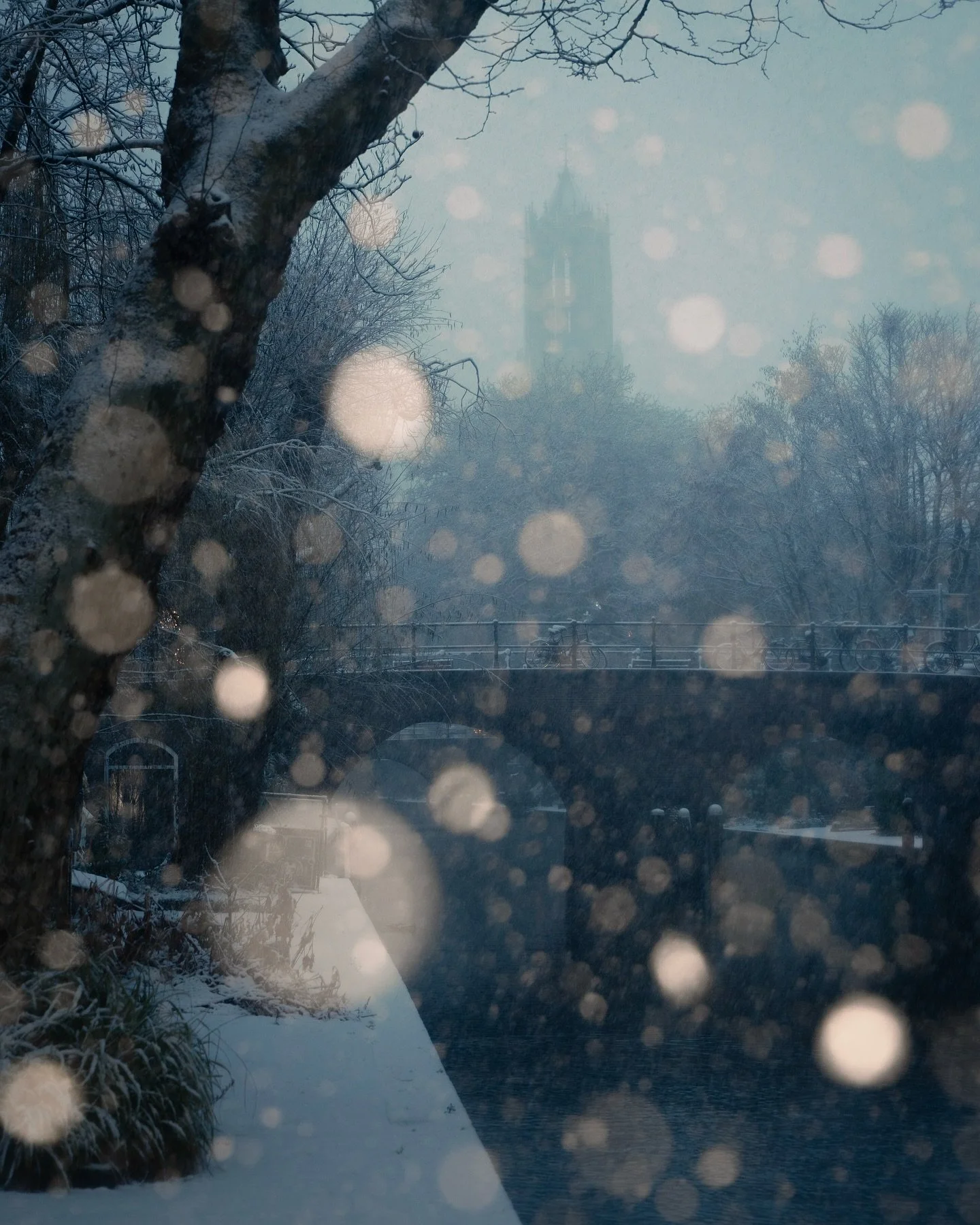 I took my flash out to Utrecht this morning and it was absolutely glorious.

#gossebouma #anewlightonthenetherlands #streetphotography #straatfotografie #utrecht