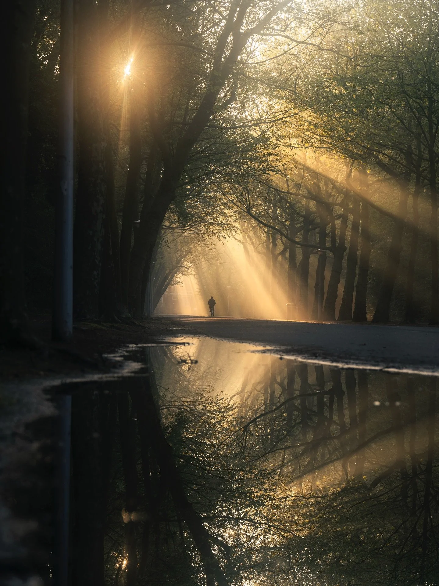 Spring scenes from across The Netherlands. 

#gossebouma #anewlightonthenetherlands #streetphotography #naturephotography #netherlands