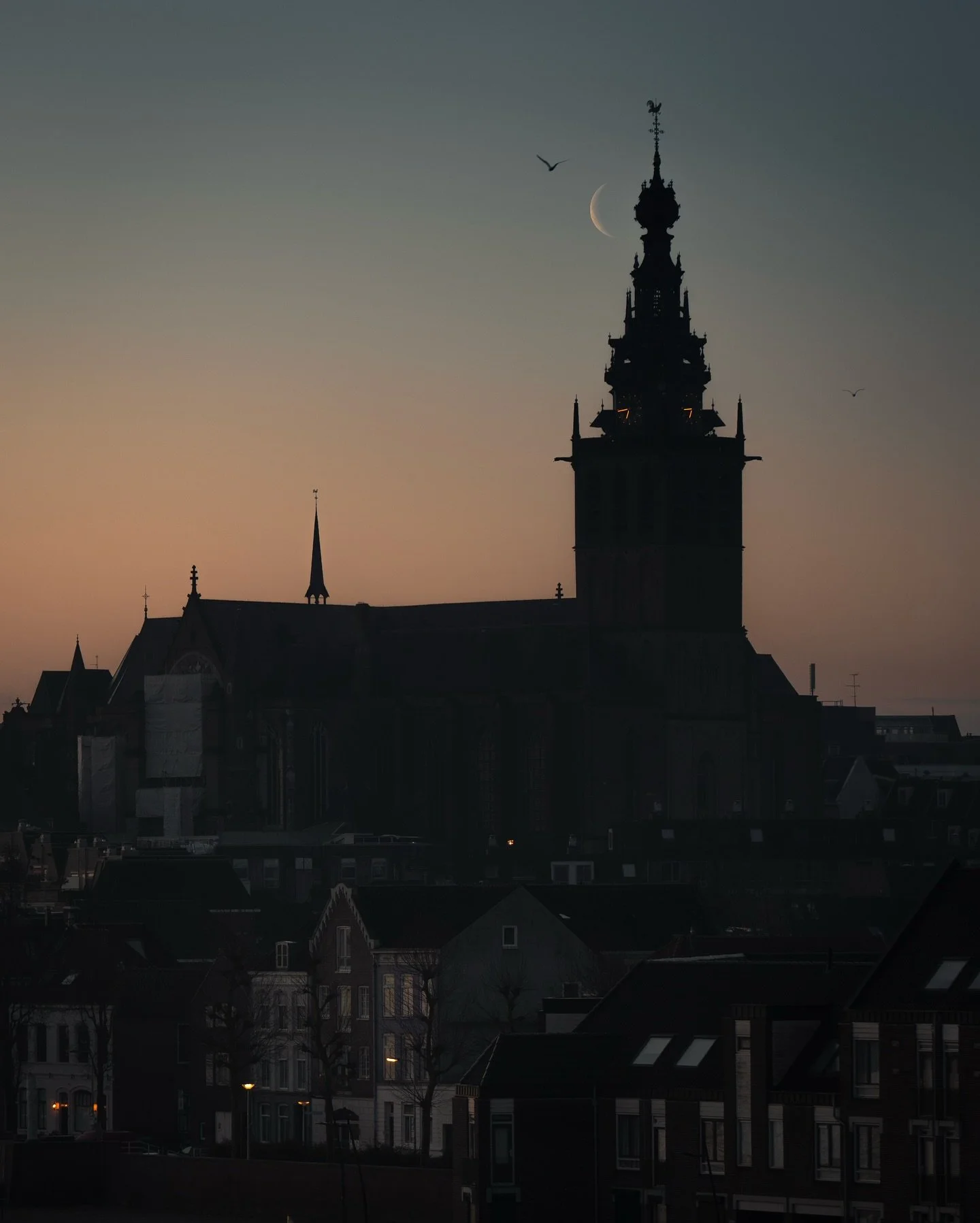 Spring morning sc&egrave;nes in the city of Nijmegen.

#gossebouma #anewlightonthenetherlands #streetphotography #straatfotografie #nijmegen