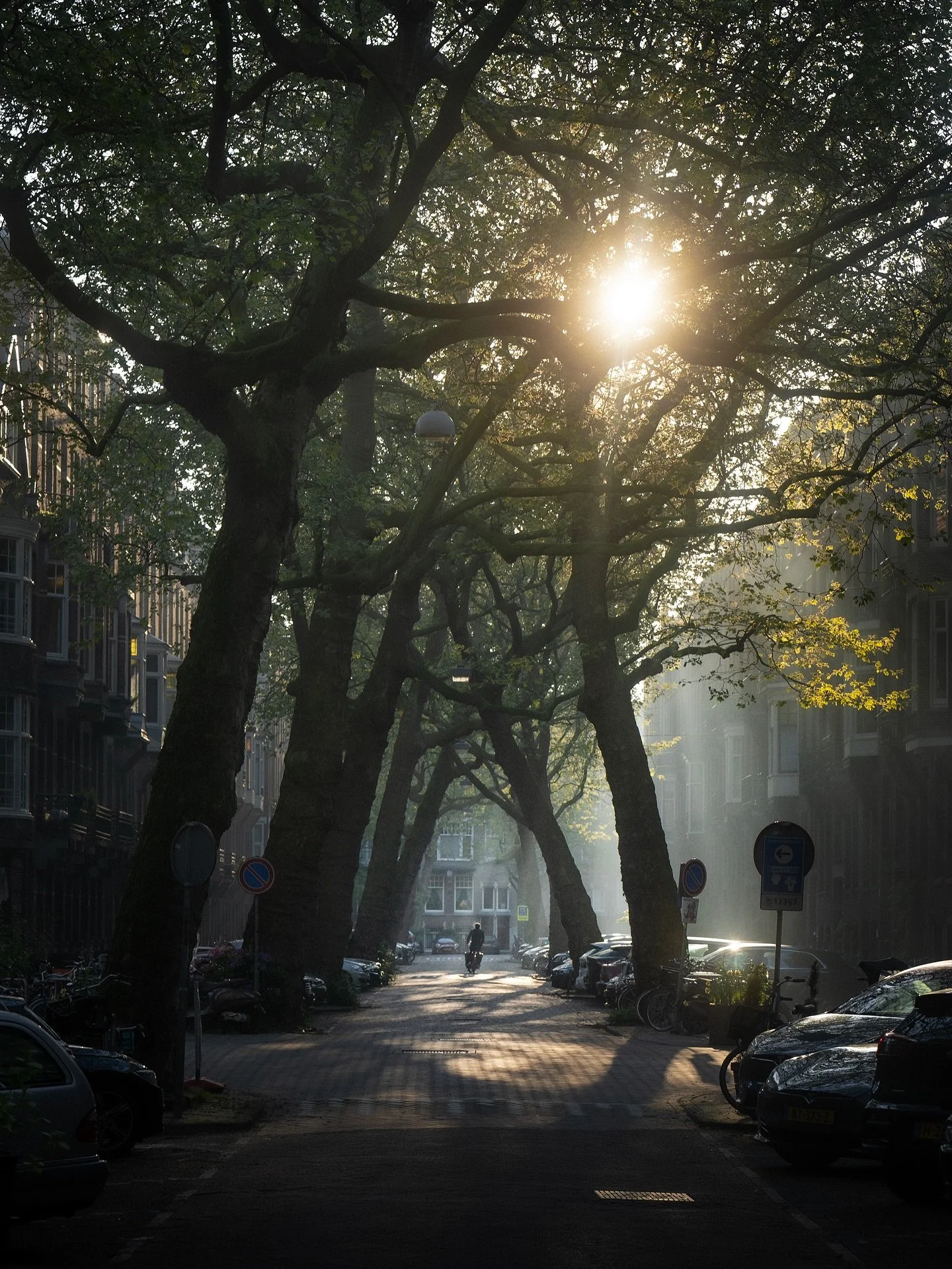 Spring scenes in and around Amsterdam.

#gossebouma #anewlightonamsterdam #streetphotography #naturephotography #amsterdam