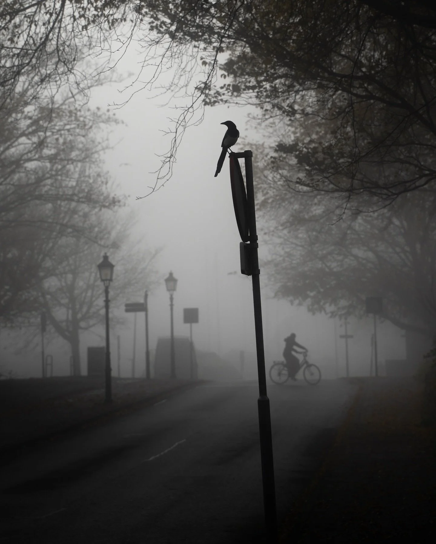 A foggy morning in the old city of Hoorn.

#gossebouma #anewlightonthenetherlands #streetphotography #straatfotografie #hoorn