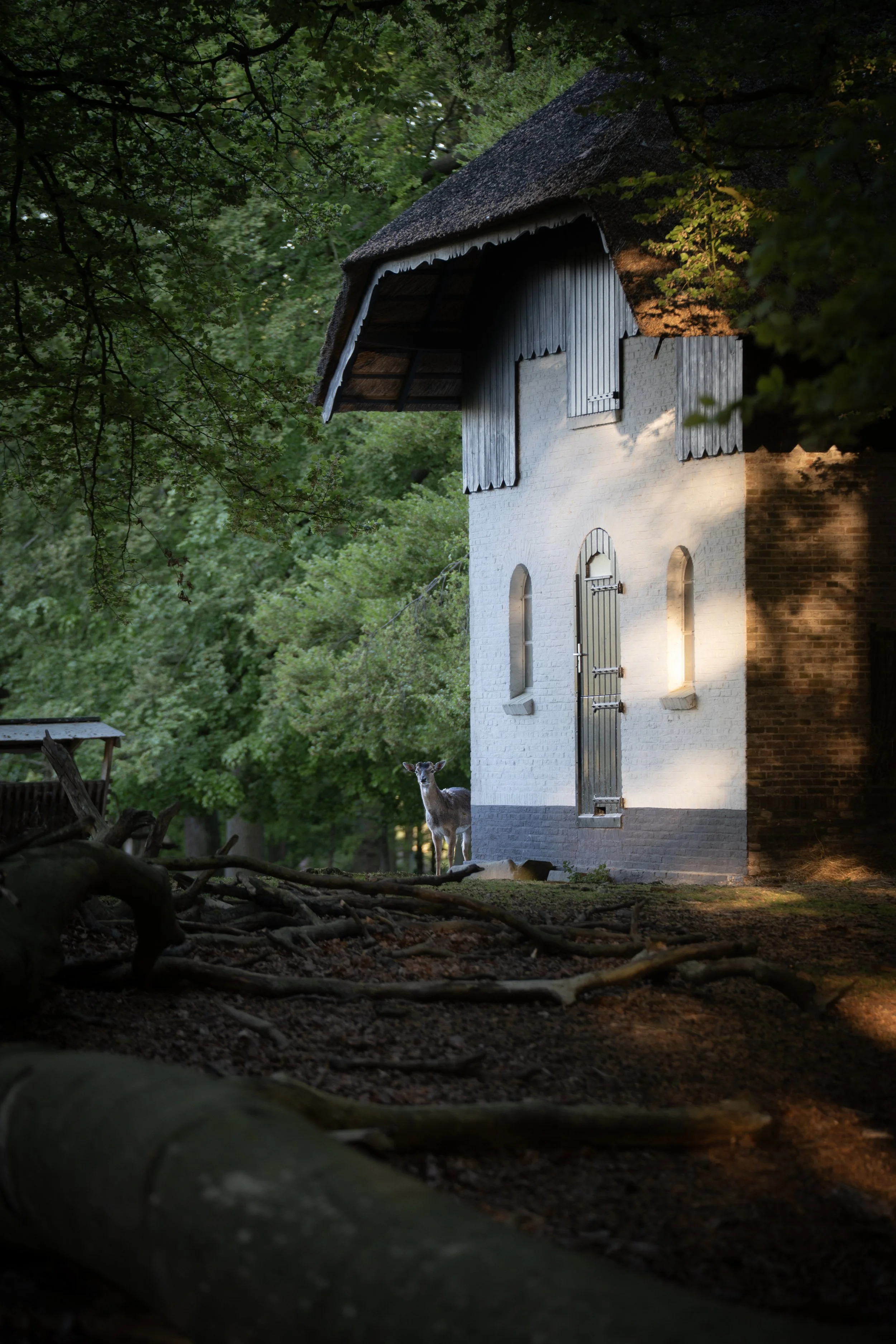 Arnhem (verticaal).jpg