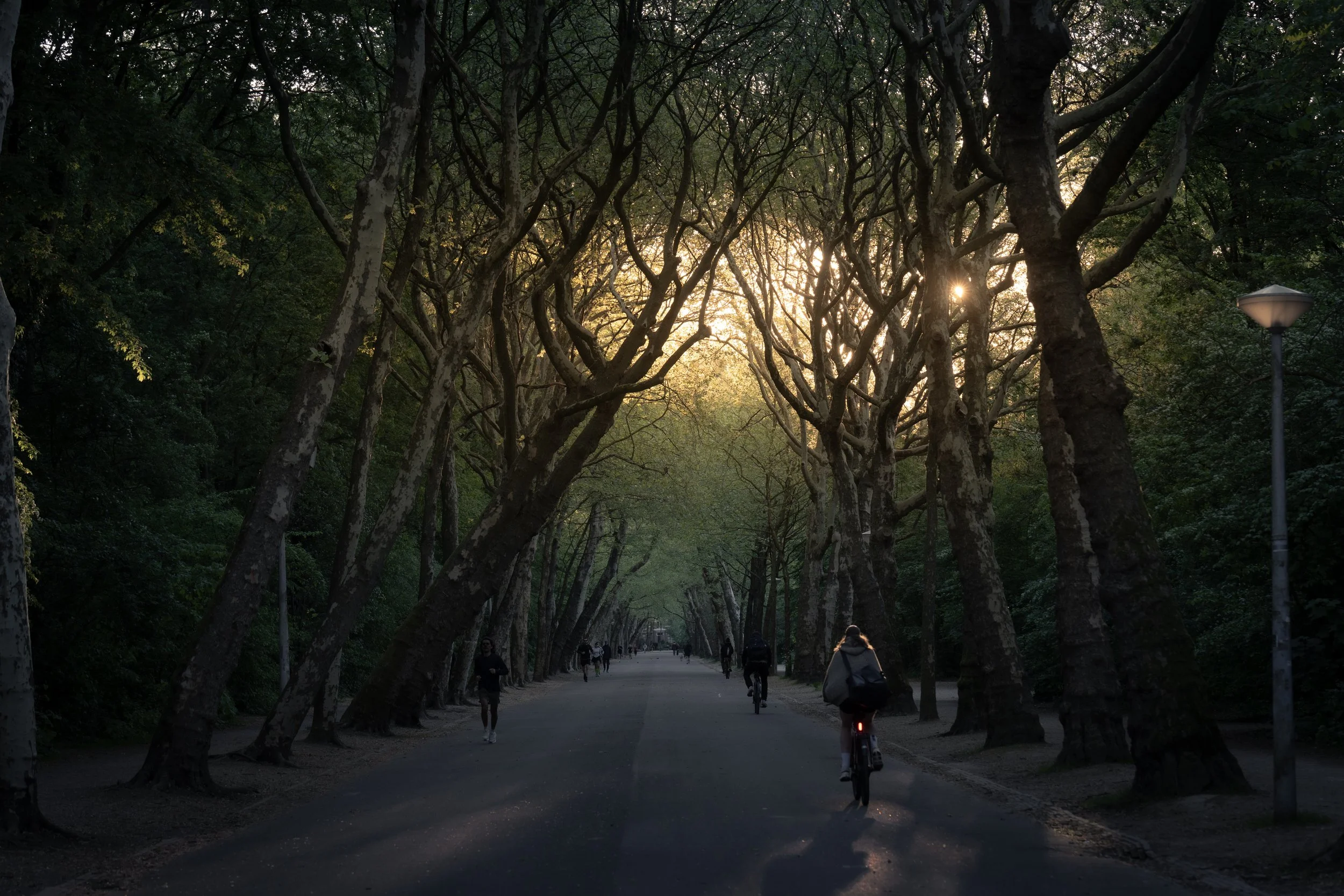 Vondelpark (horizontaal).jpg