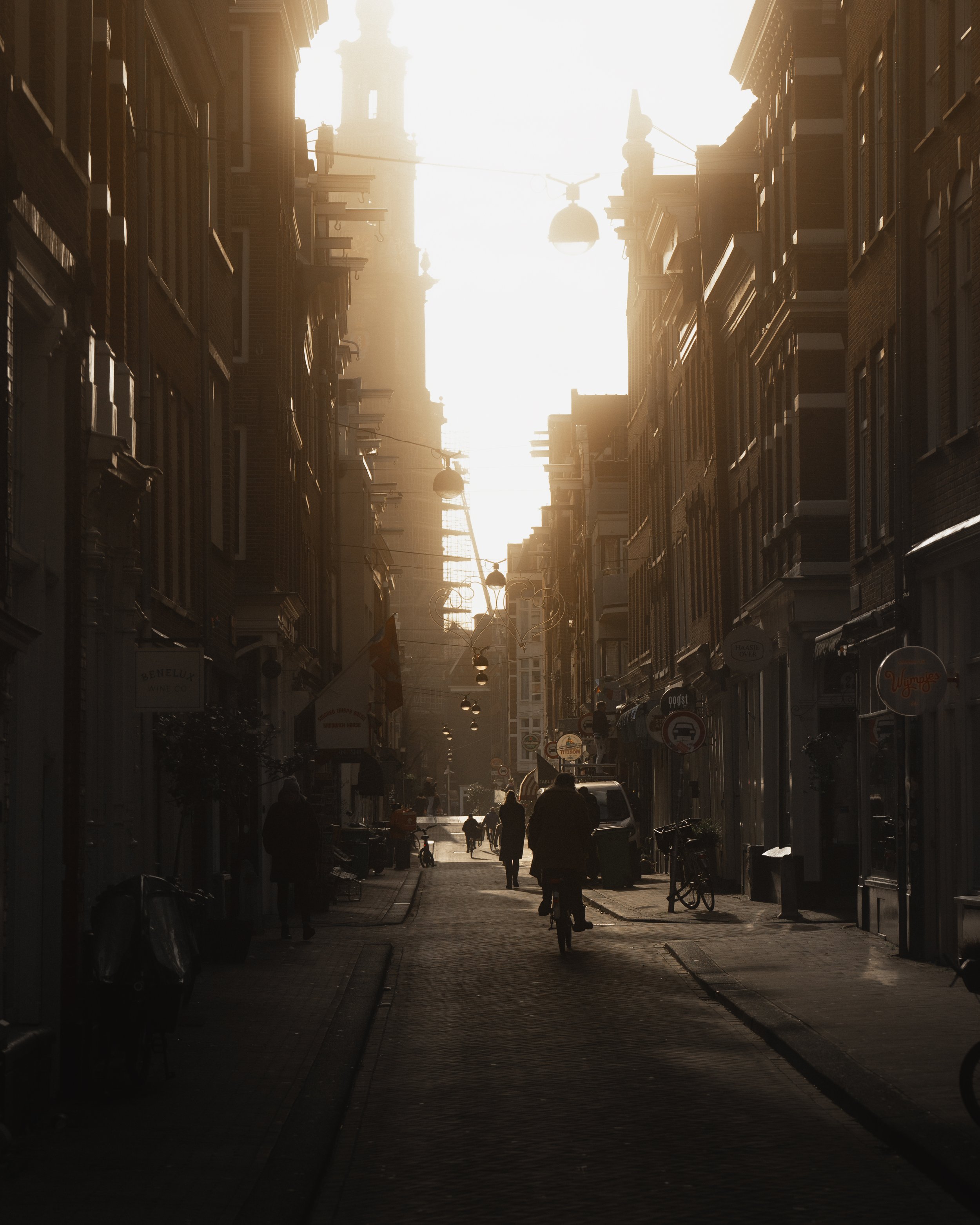 Sunlit.jpg