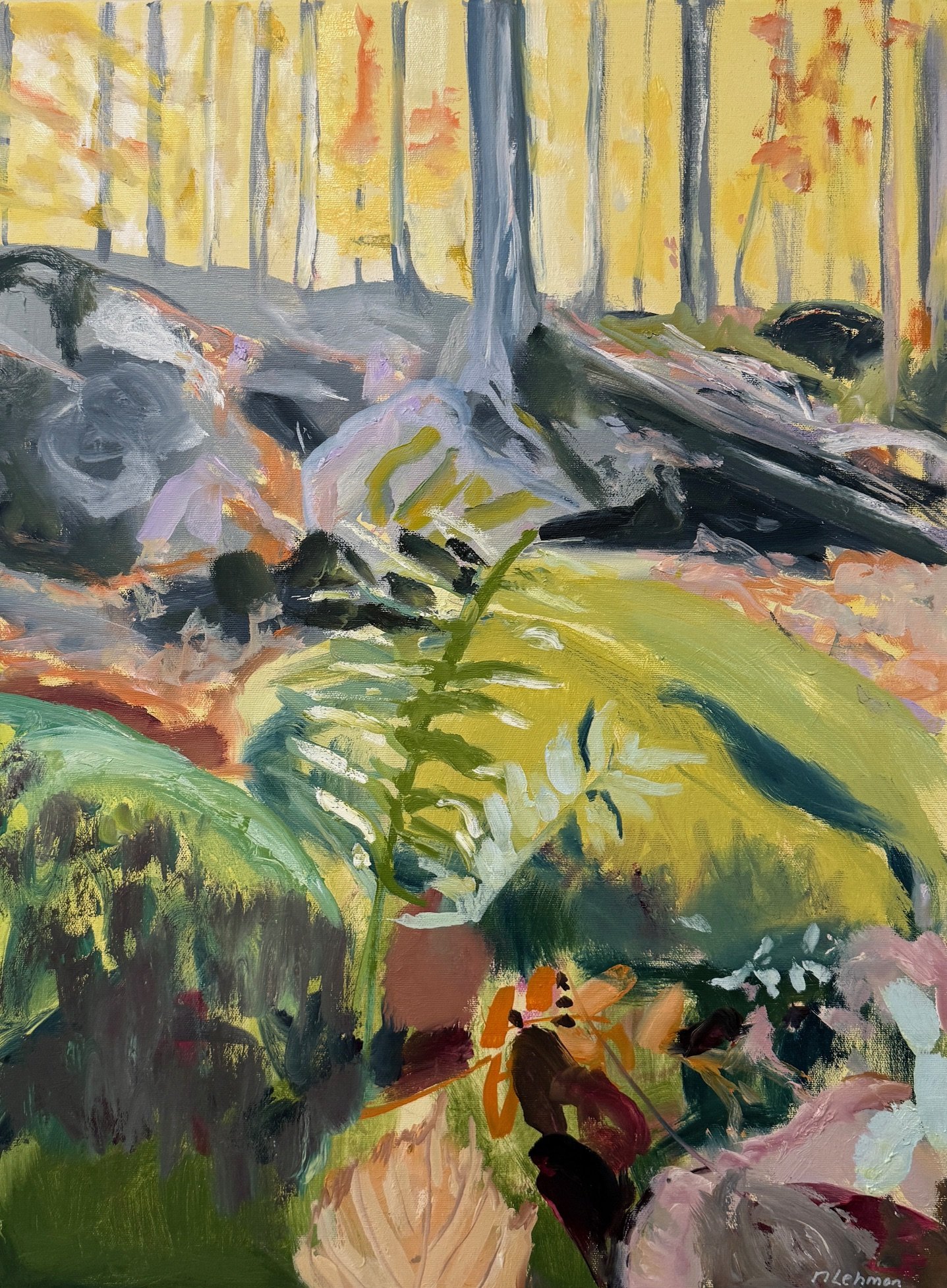 A Walk in the Woods