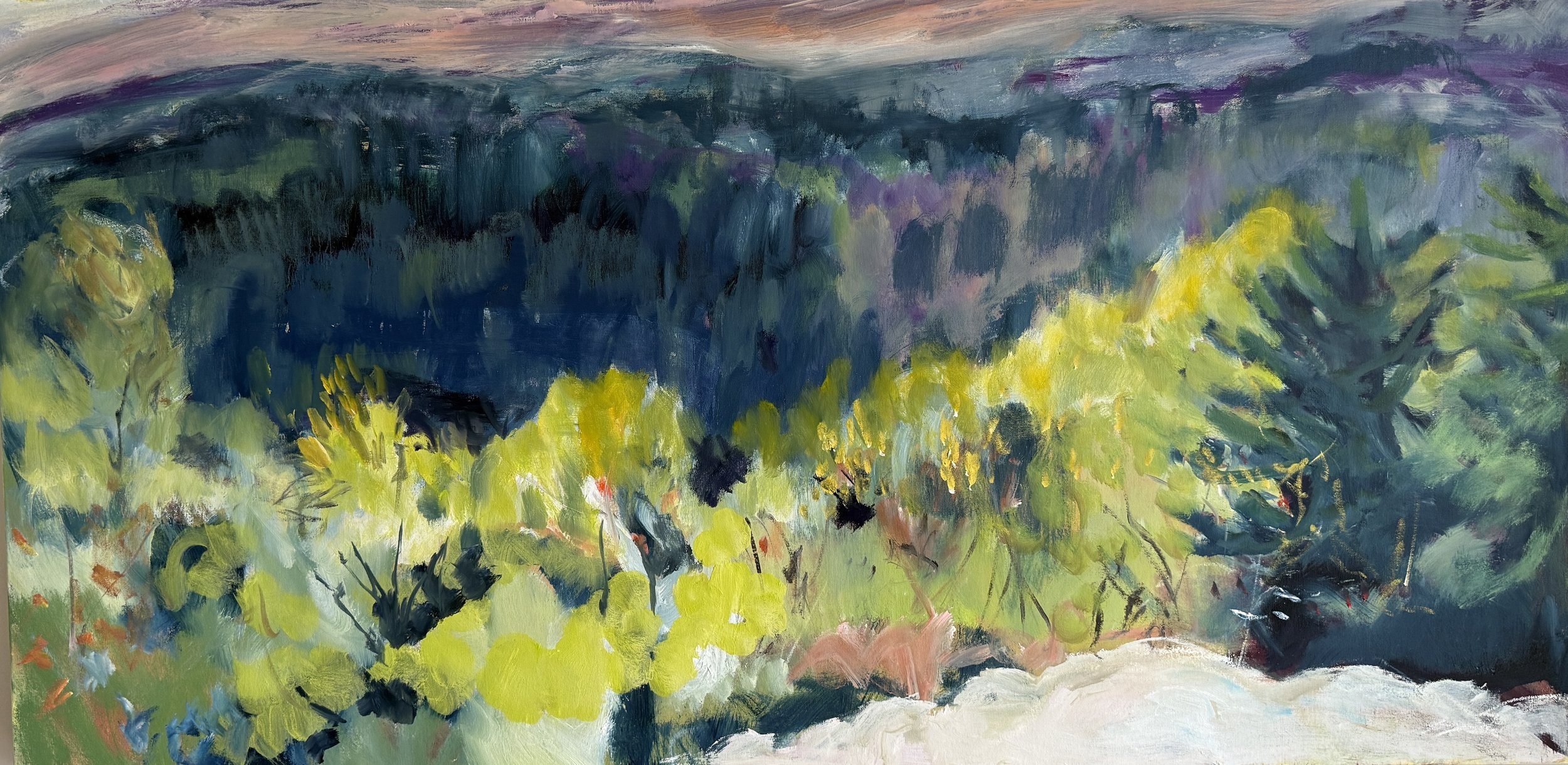 View across the Hills 24 by 28 Oil.JPG