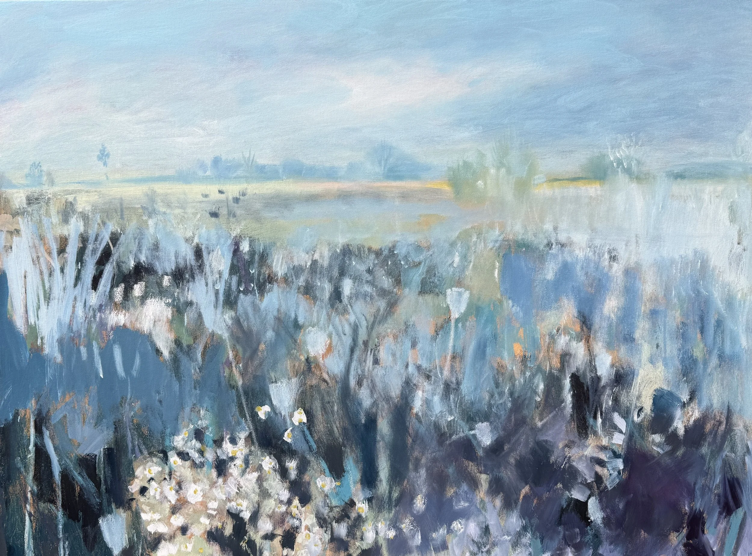 Blue Fields 30 by 40 Mixed.JPG