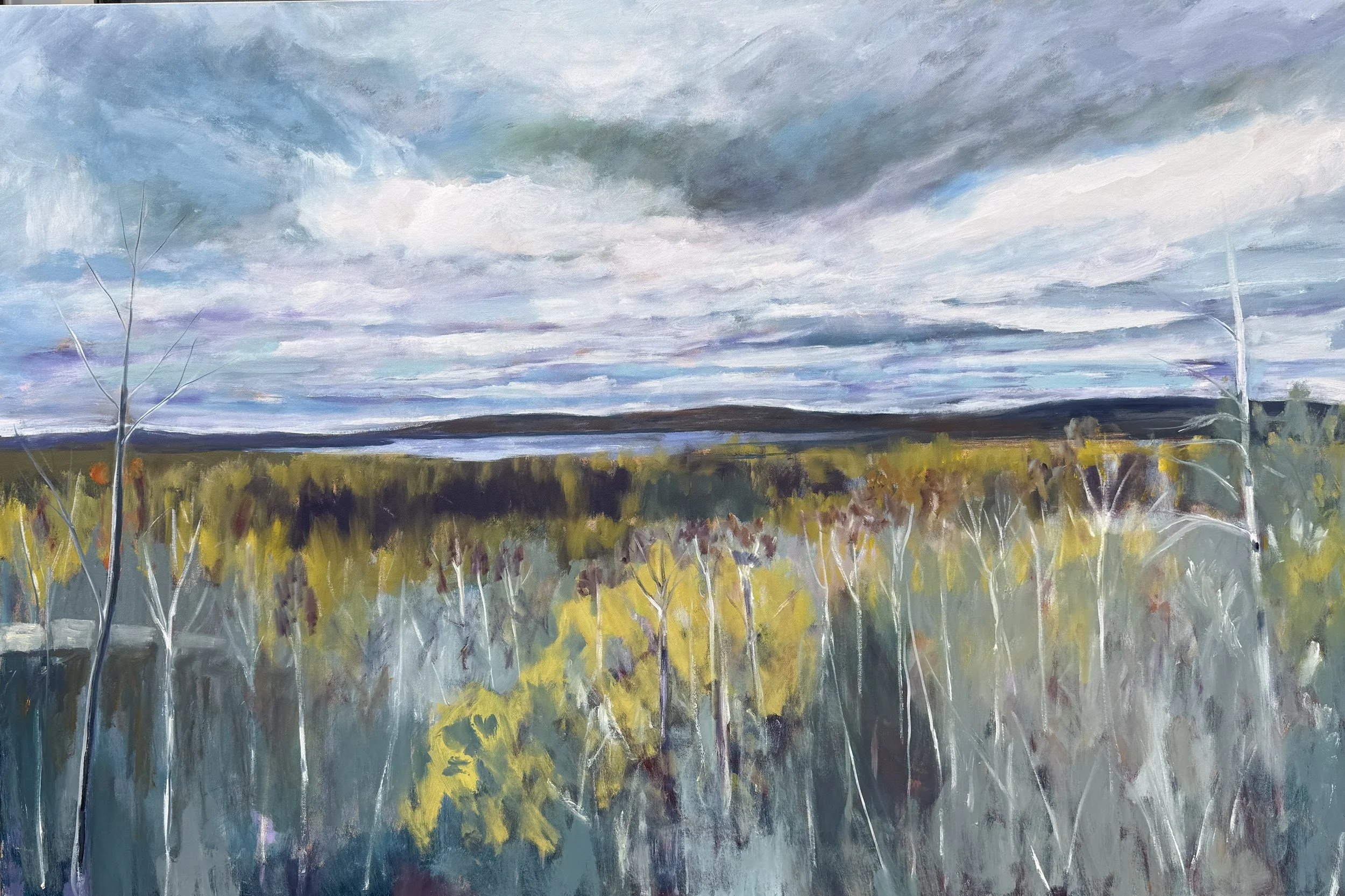 NOrthern Vista 40 by 60 Oil.JPG