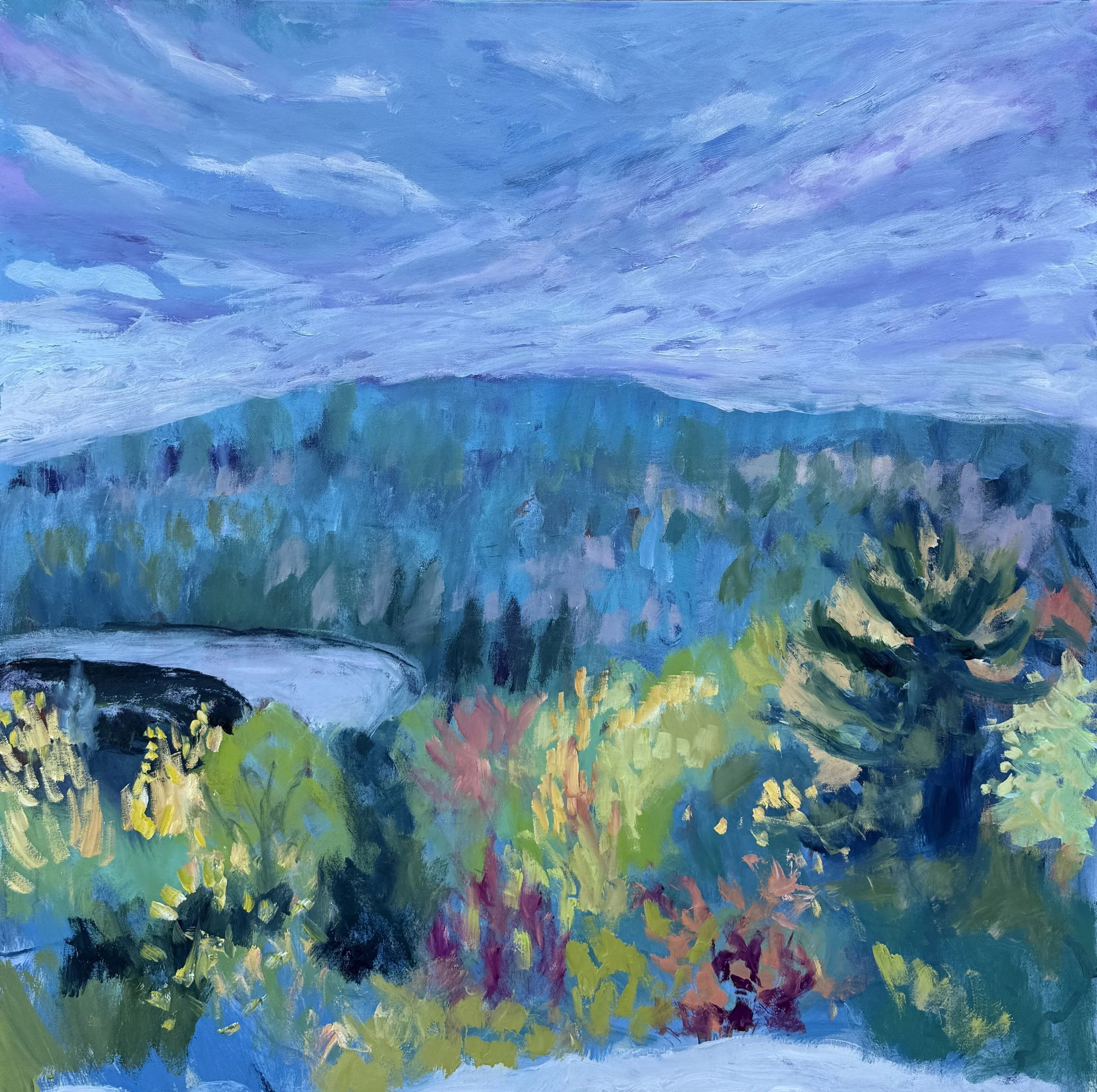 Hillside 40 by 40 Oil.JPG