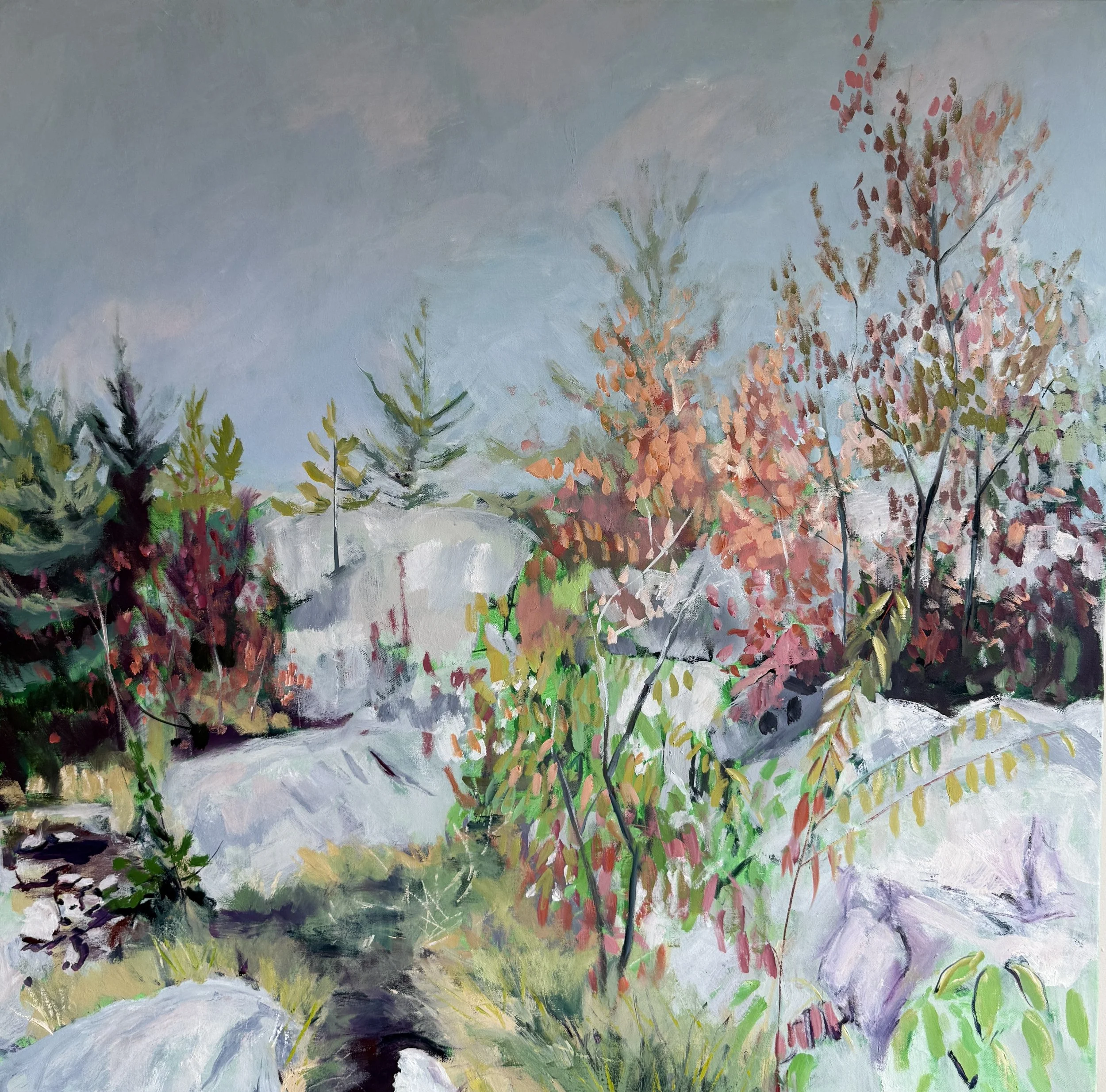 Along The Trail 40 by 40 Oil.JPG