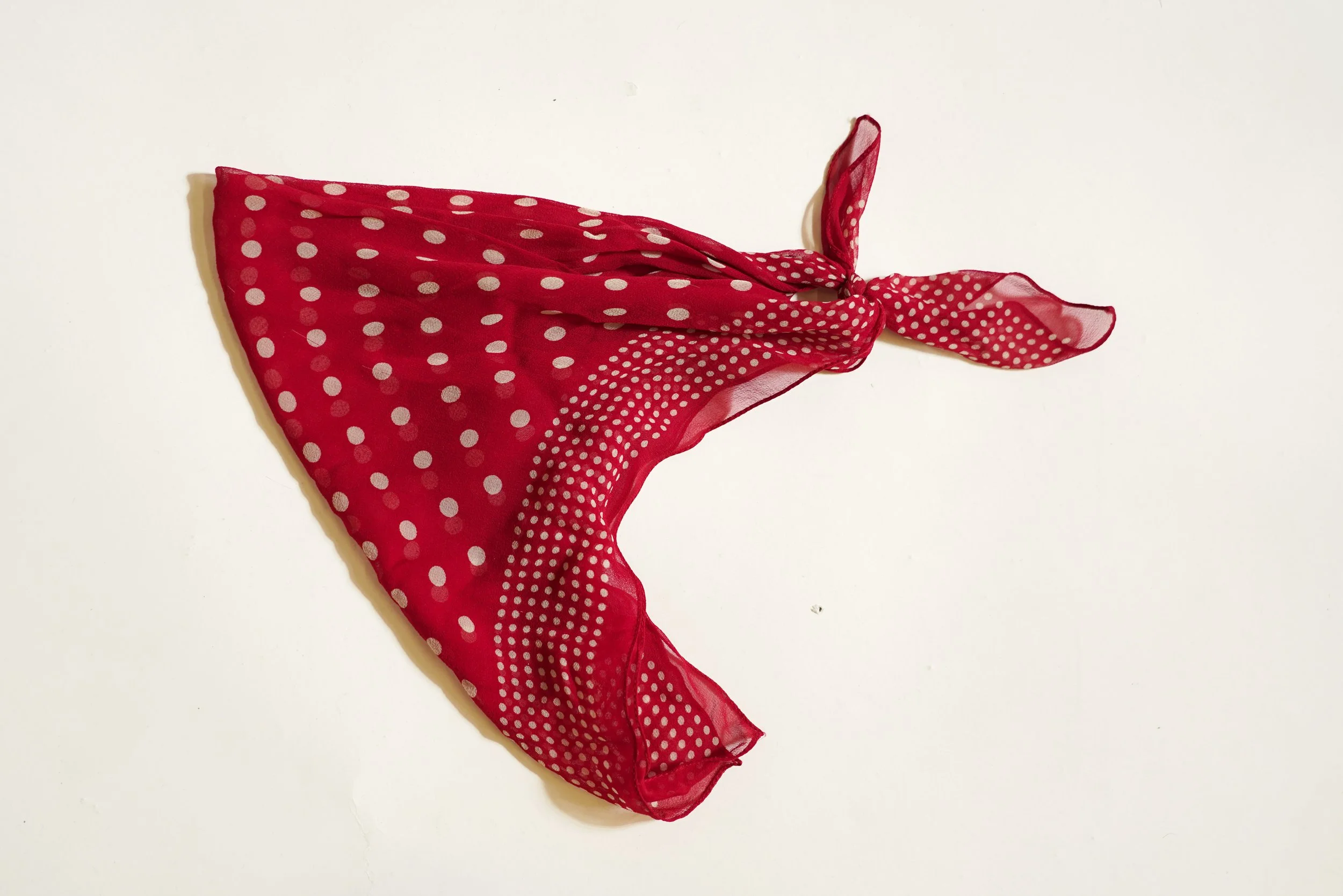 DSC02790-1.jpg