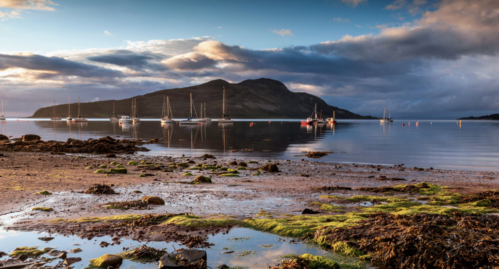Arran Recital - The Bubblyjock Colective