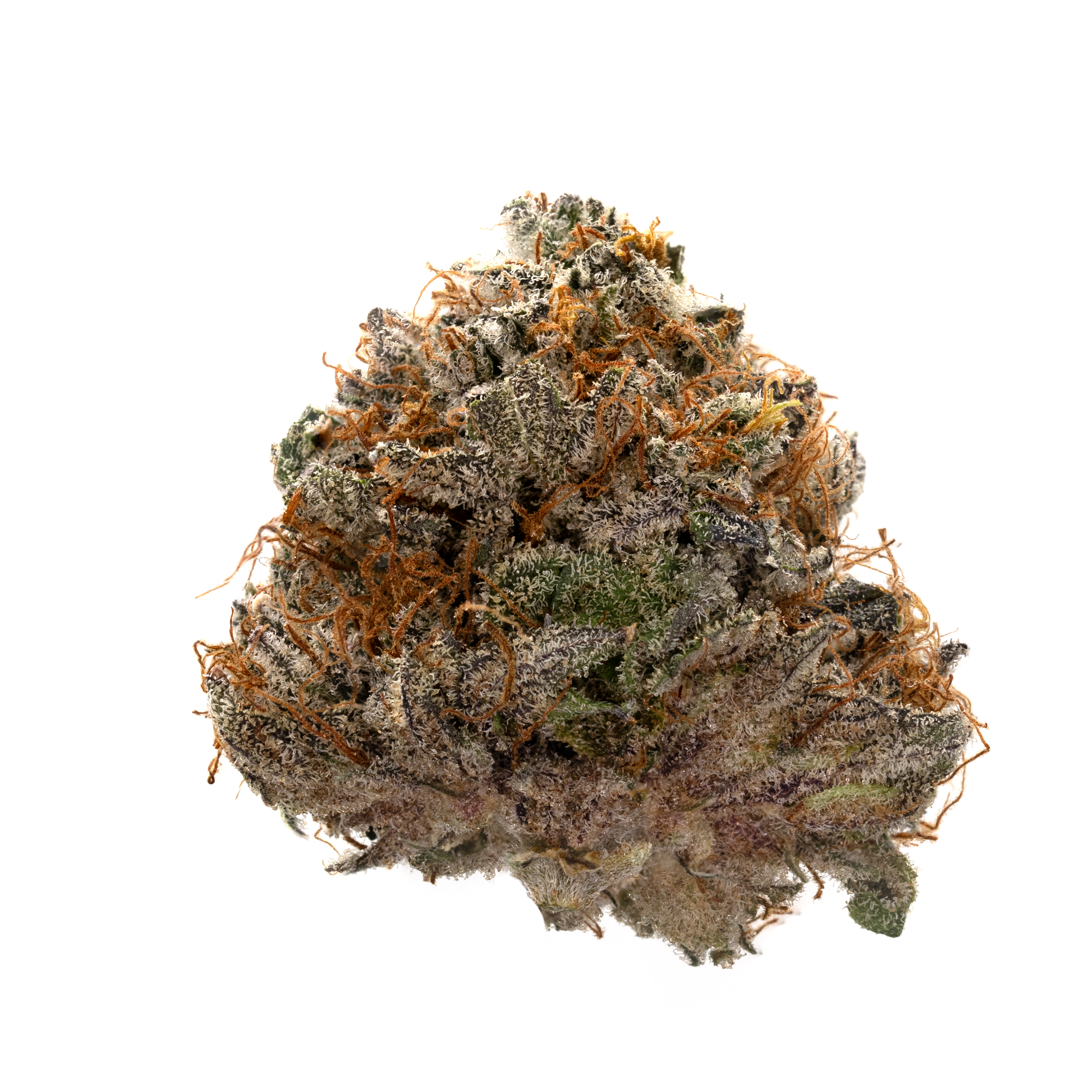 Close-up of a dense cannabis bud covered in trichomes with orange pistils and green leaves.