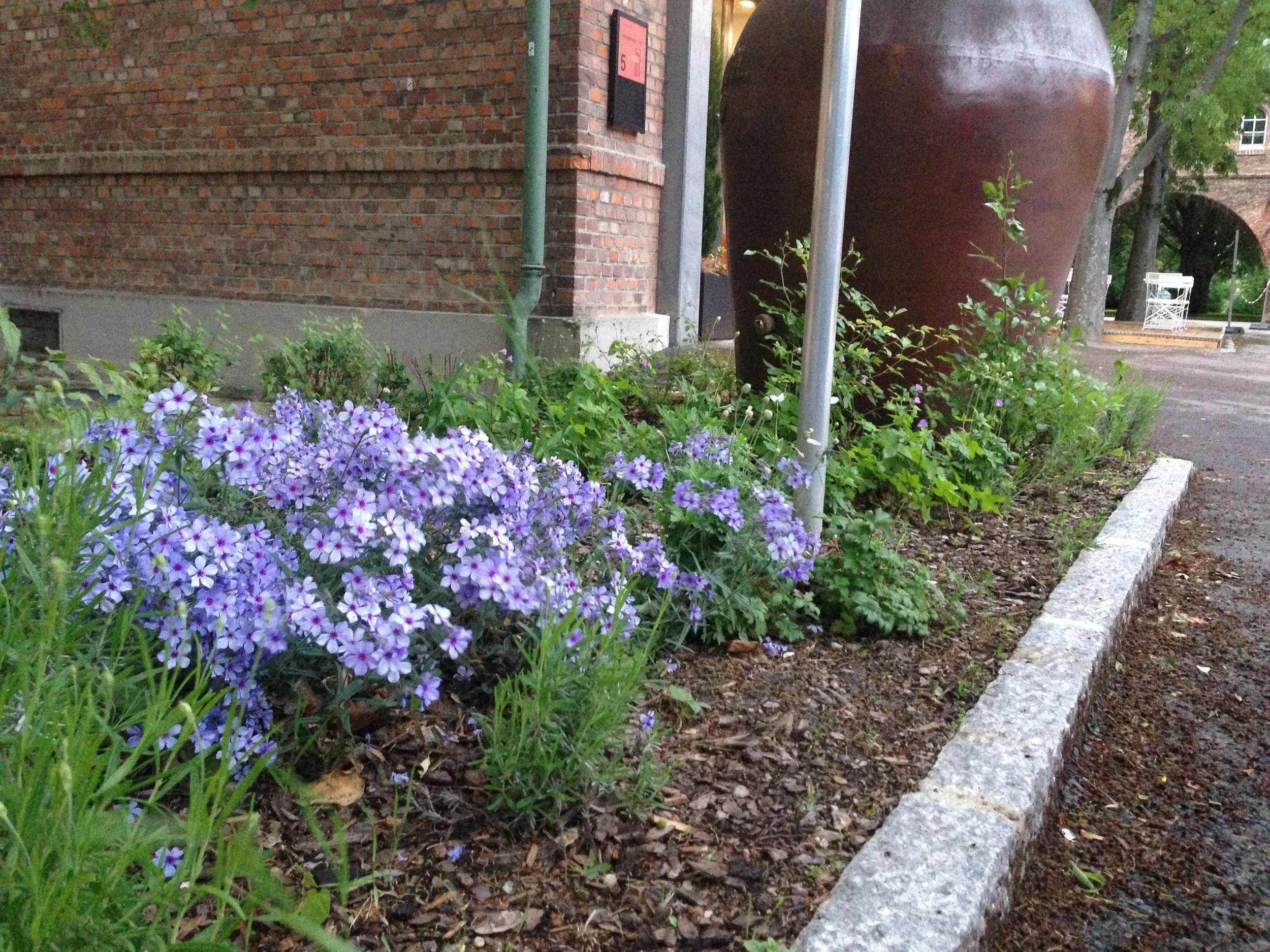 erster frühling im beet, mai 2019