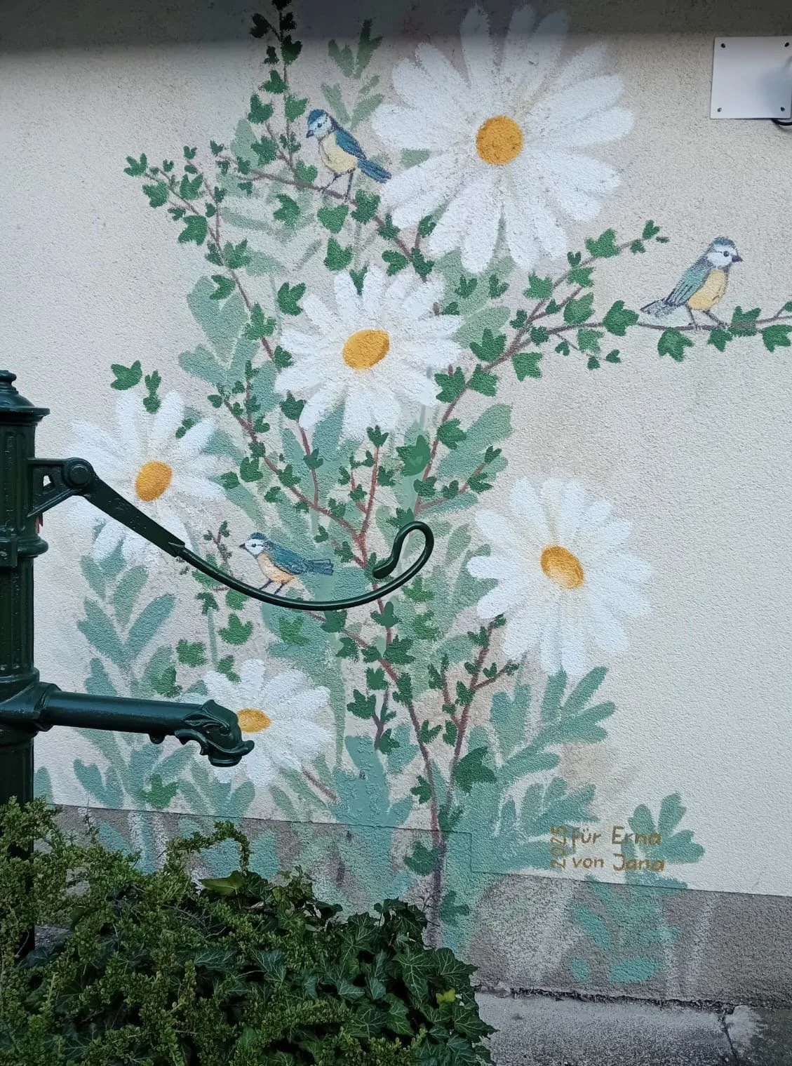 Erna-wand22.jpg