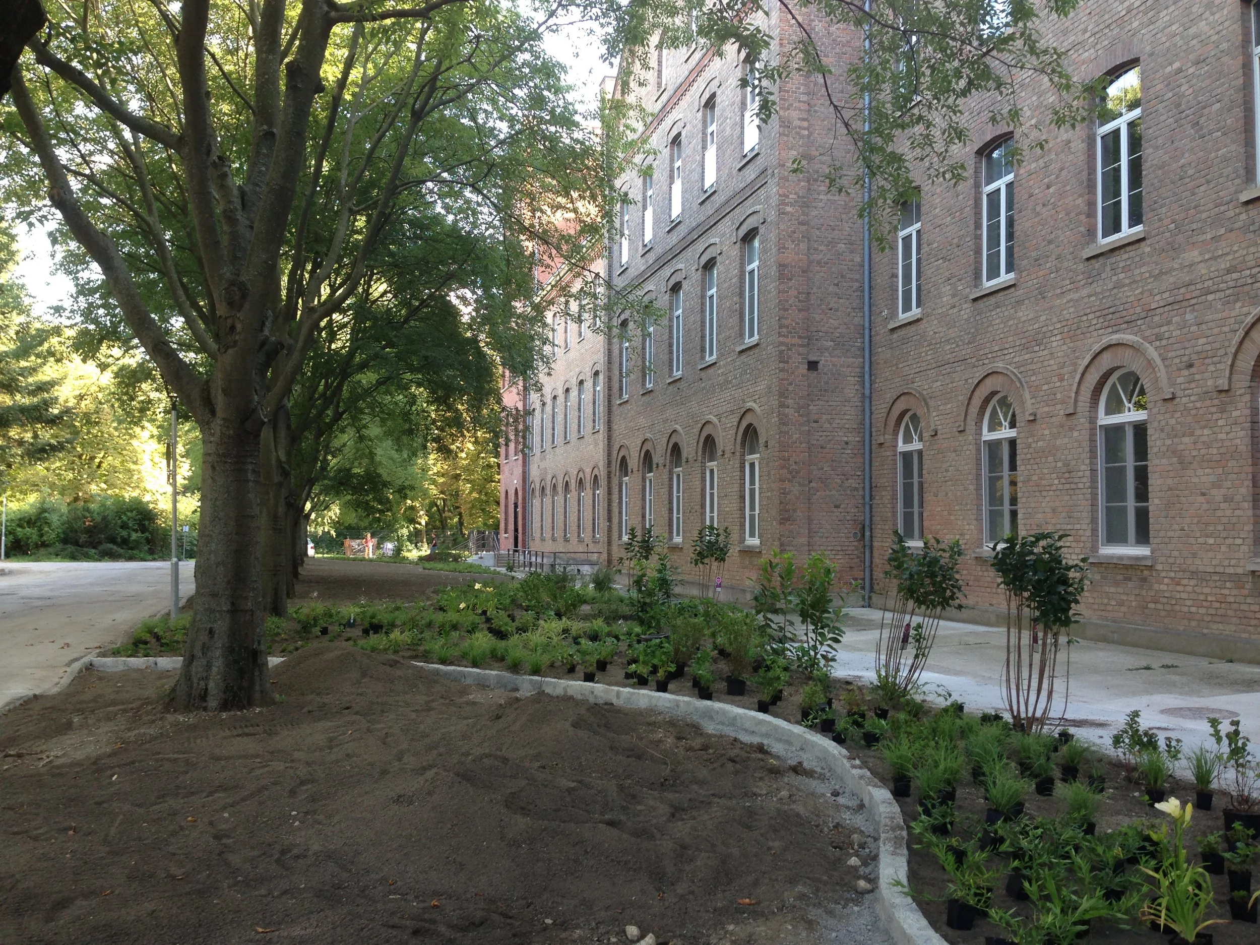 frisch gepflanztes beet, juli 2018