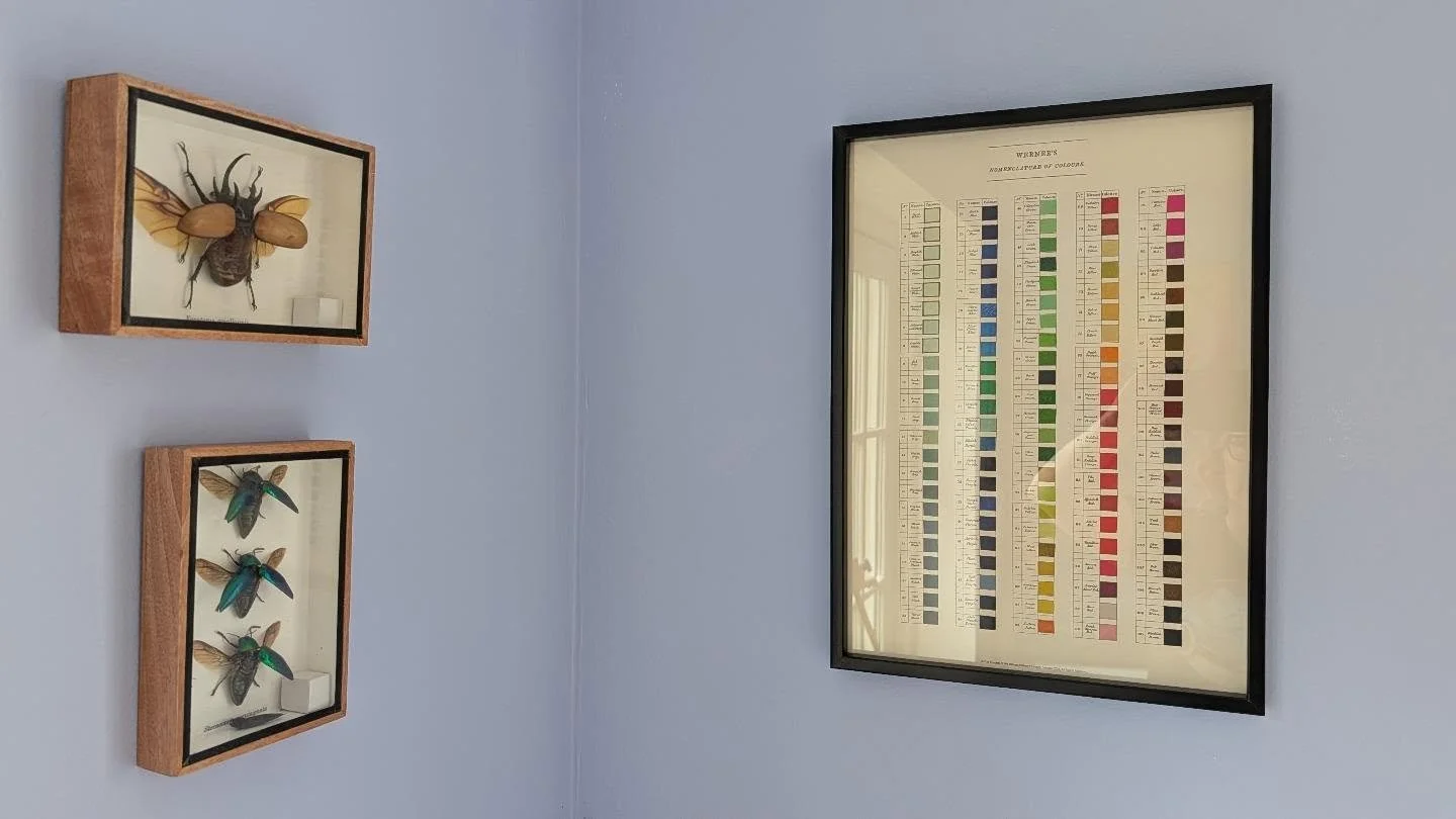 Werner's nomenclature of colours.

I love my studio, it's a beautiful space of peace and problem solving and I'm careful about what goes in there.

Just like in our home - I'd rather have nothing on the walls than something without a soul or that doe