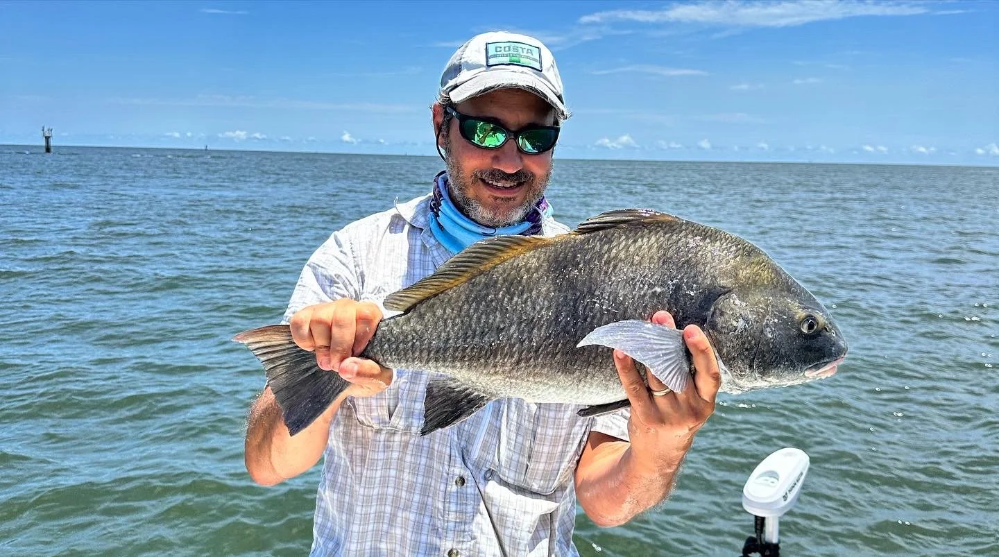 nearshore wreck fishing for black drum with live shrimp