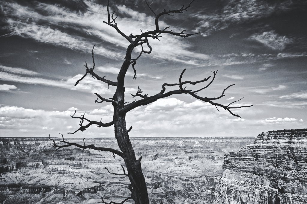 Grand Canyon 12.jpg