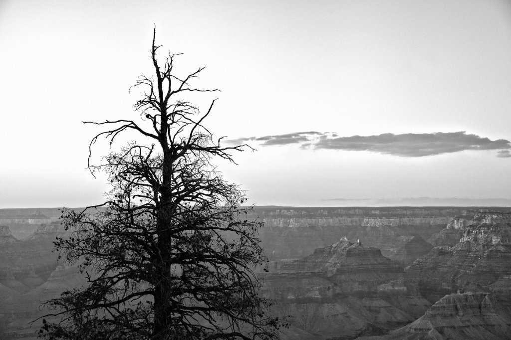 Grand Canyon 2.jpg