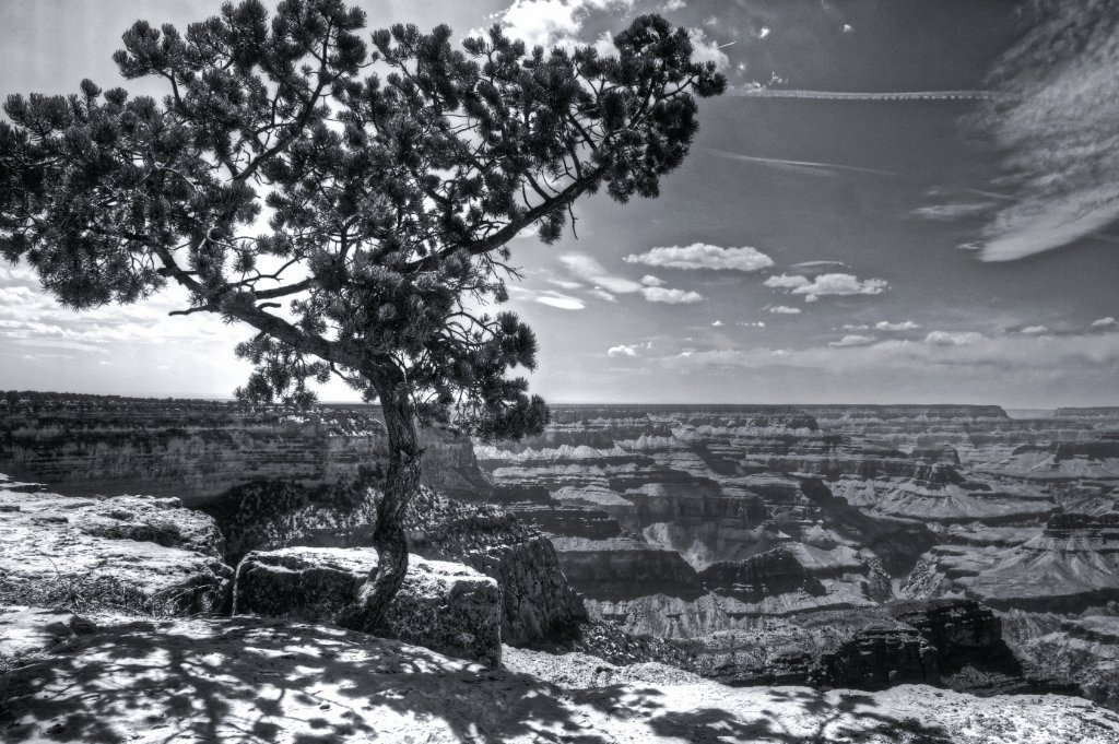Grand Canyon 11.jpg