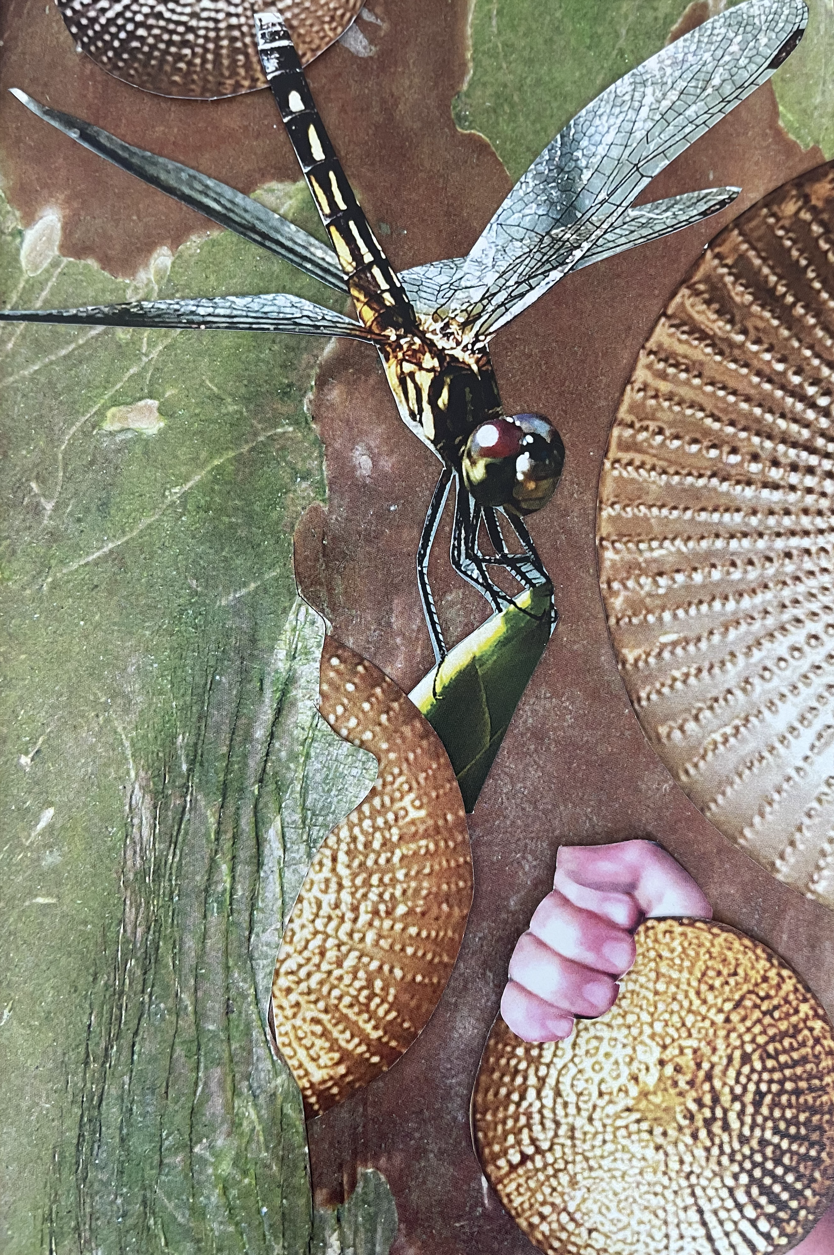 I am the one finding my balance